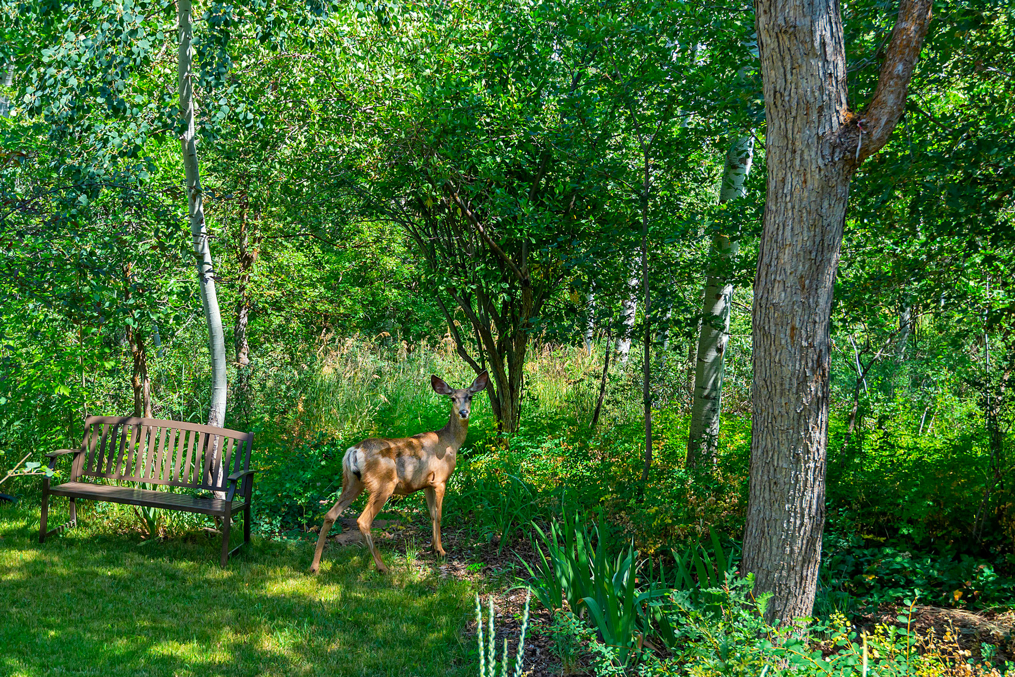 main property photo 45