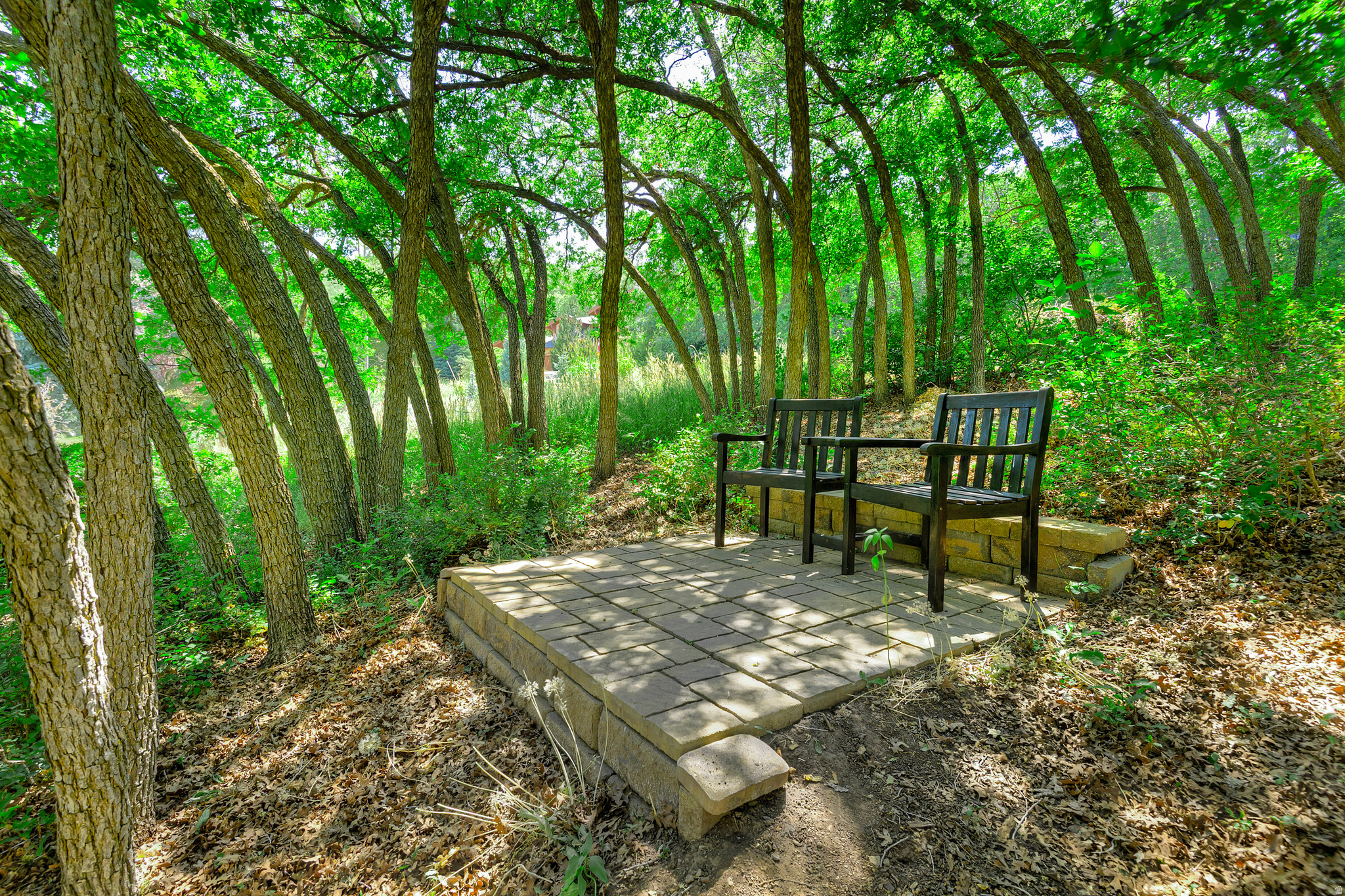 main property photo 49