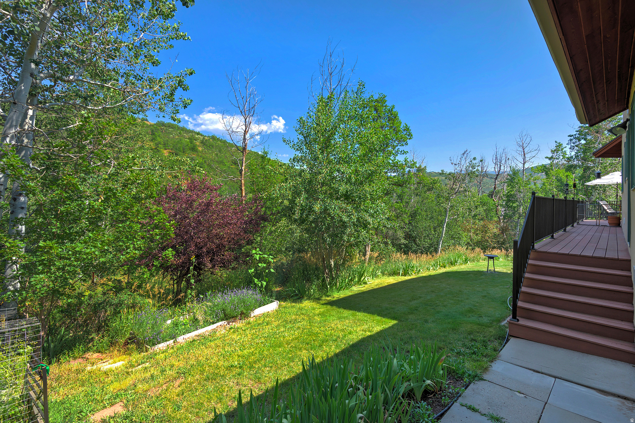 main property photo 58