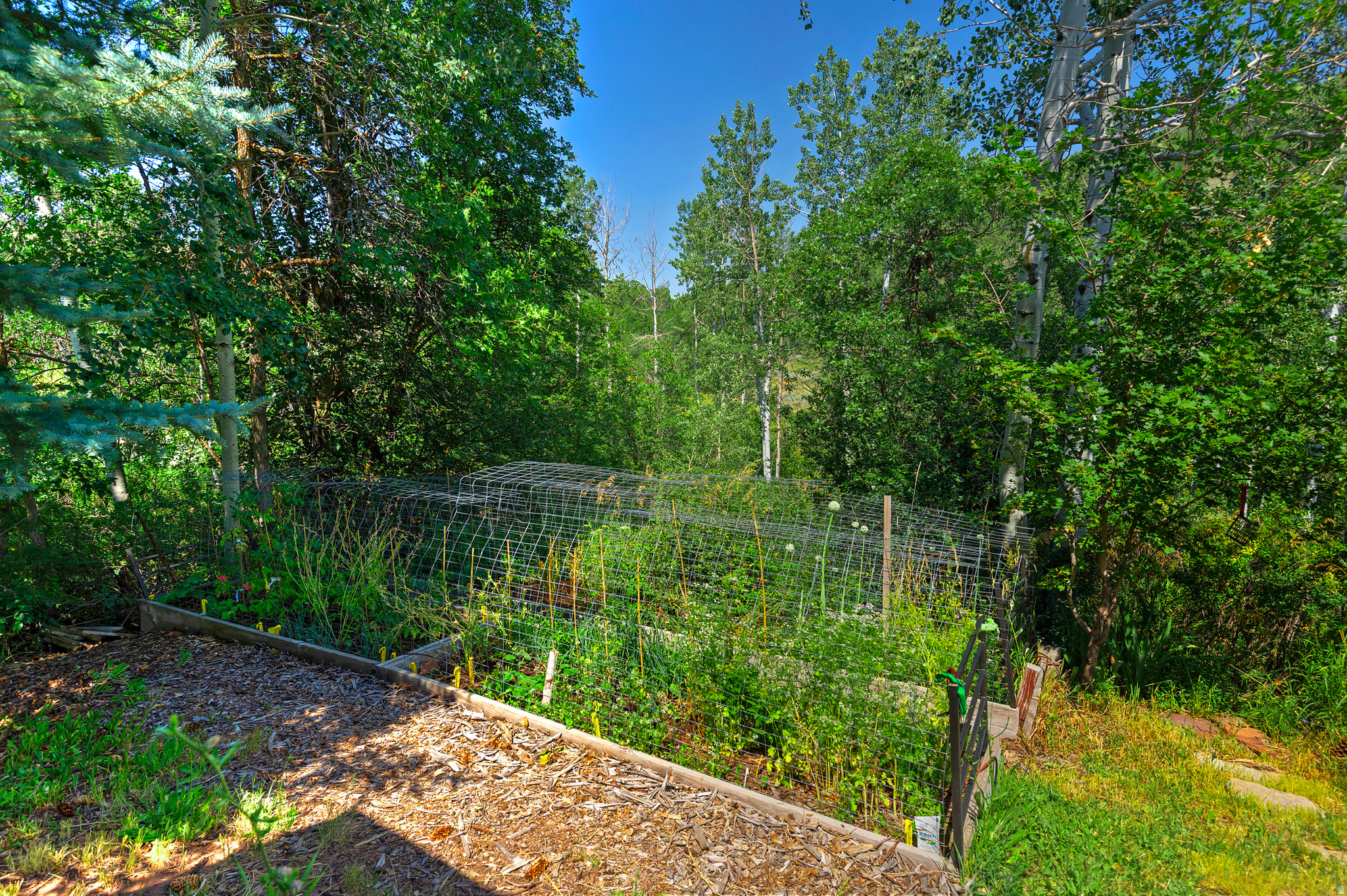 main property photo 59