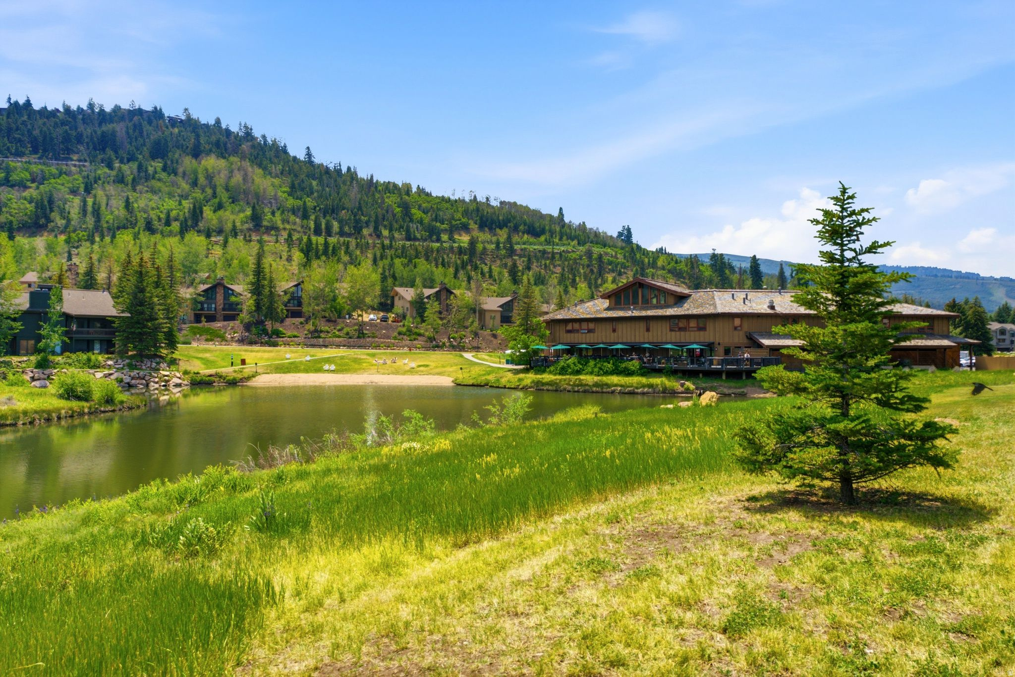 main property photo 42