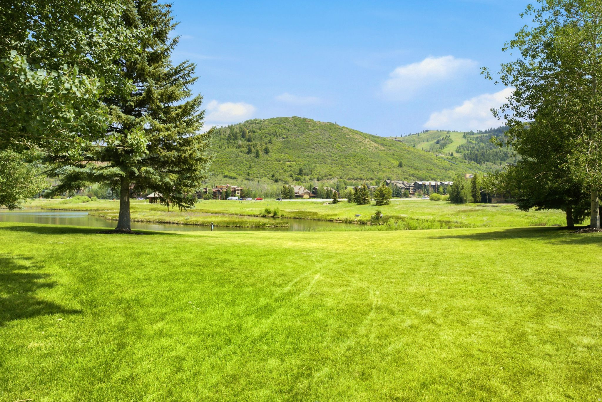 main property photo 44