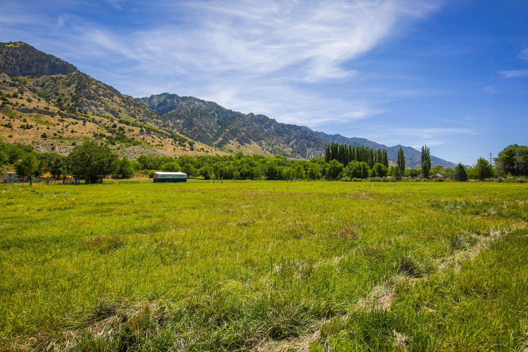 main property photo 52