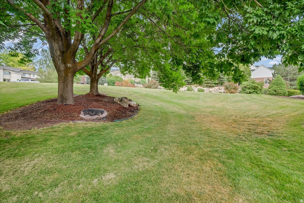 main property photo 68