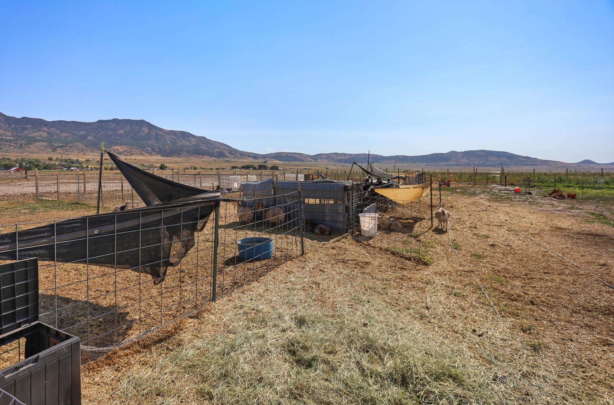 main property photo 61