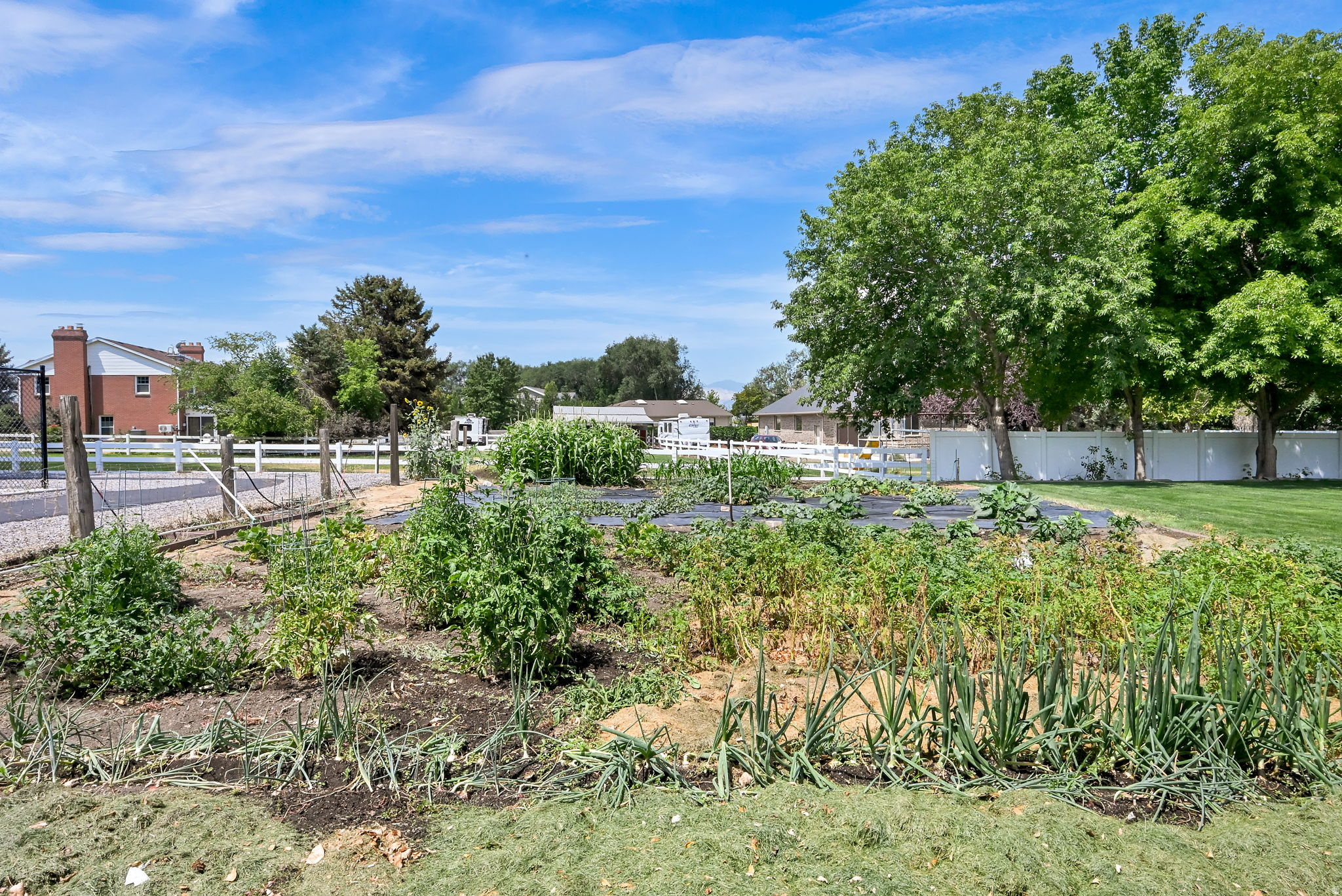 main property photo 65
