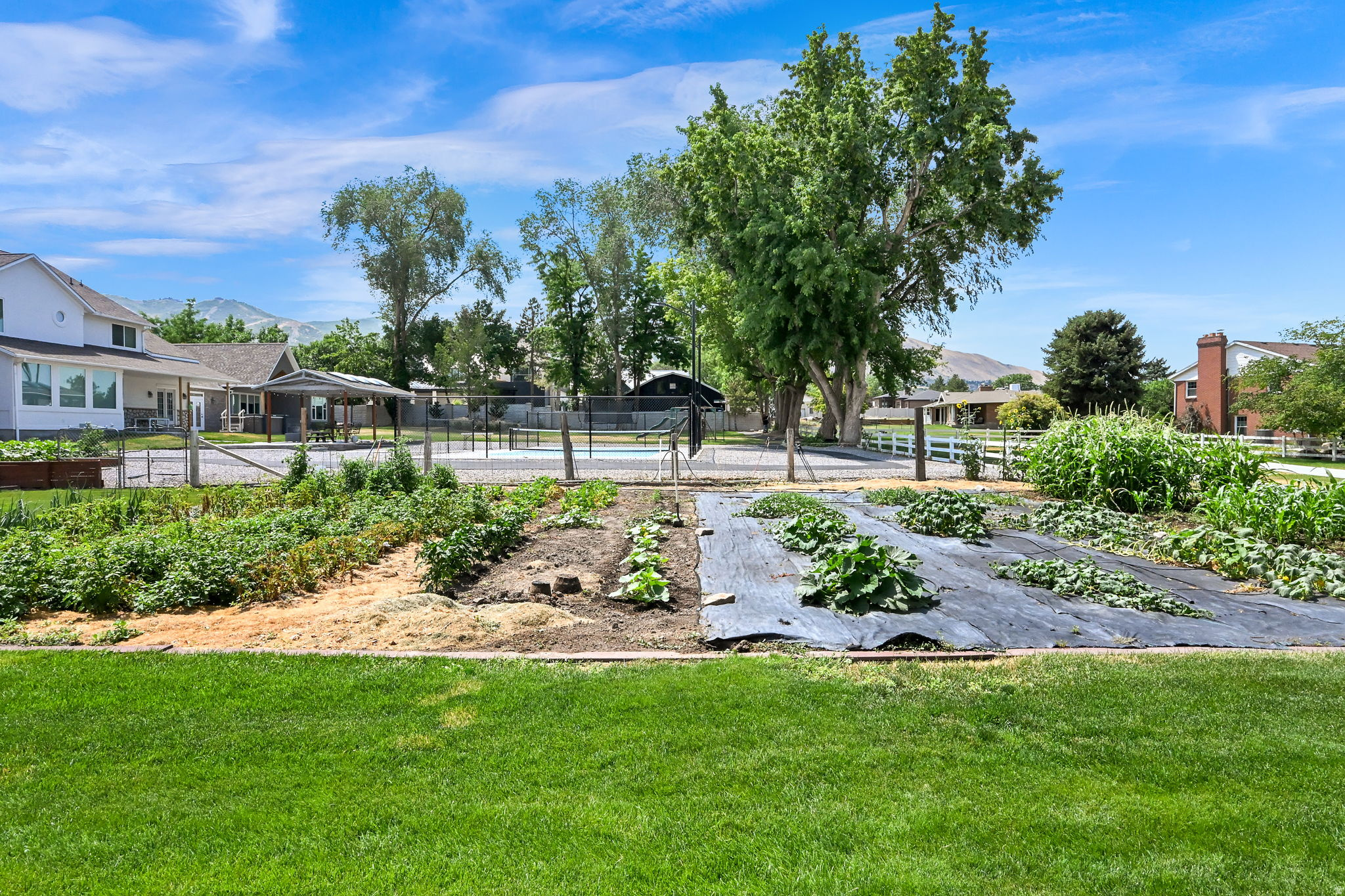 main property photo 67