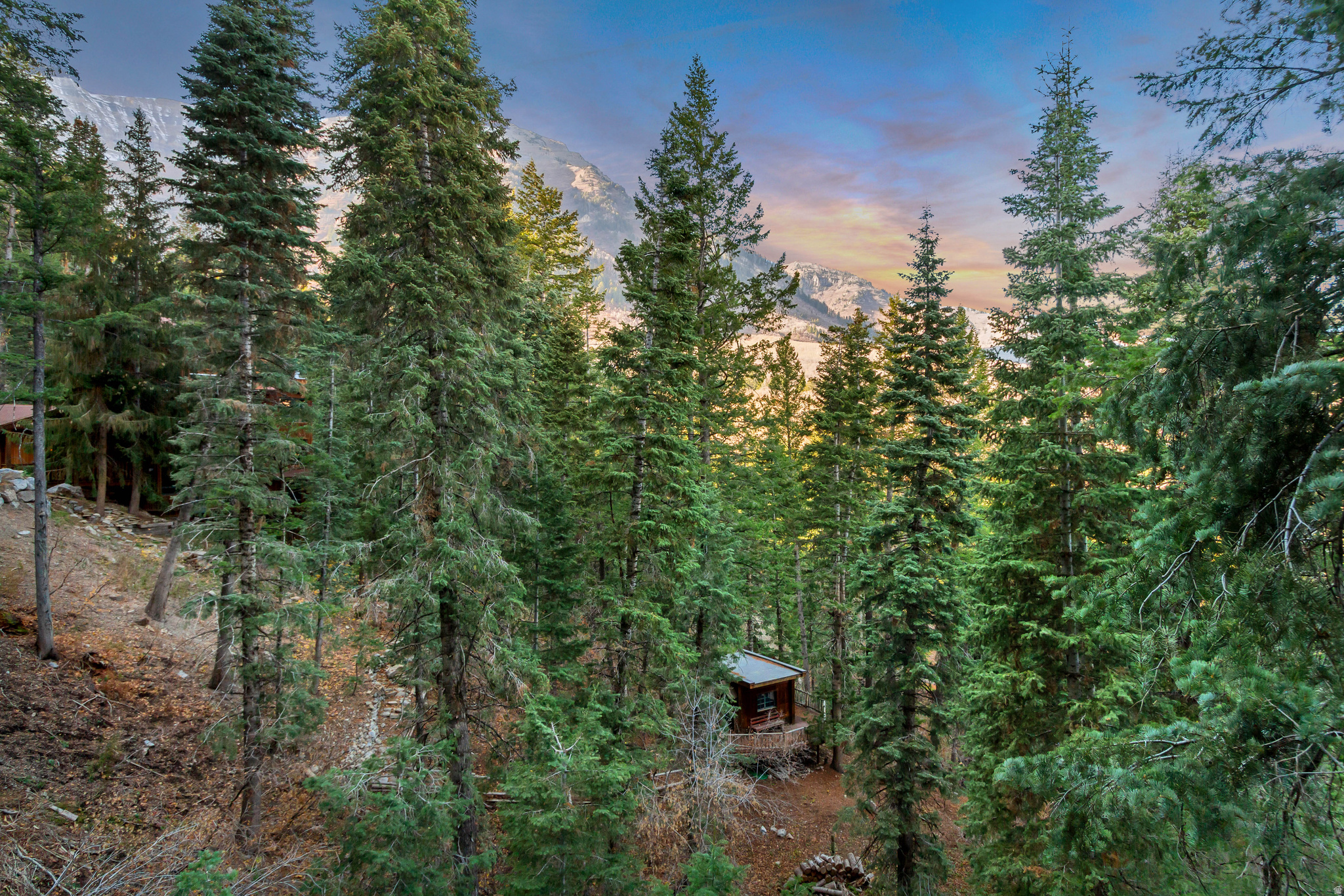 main property photo 38