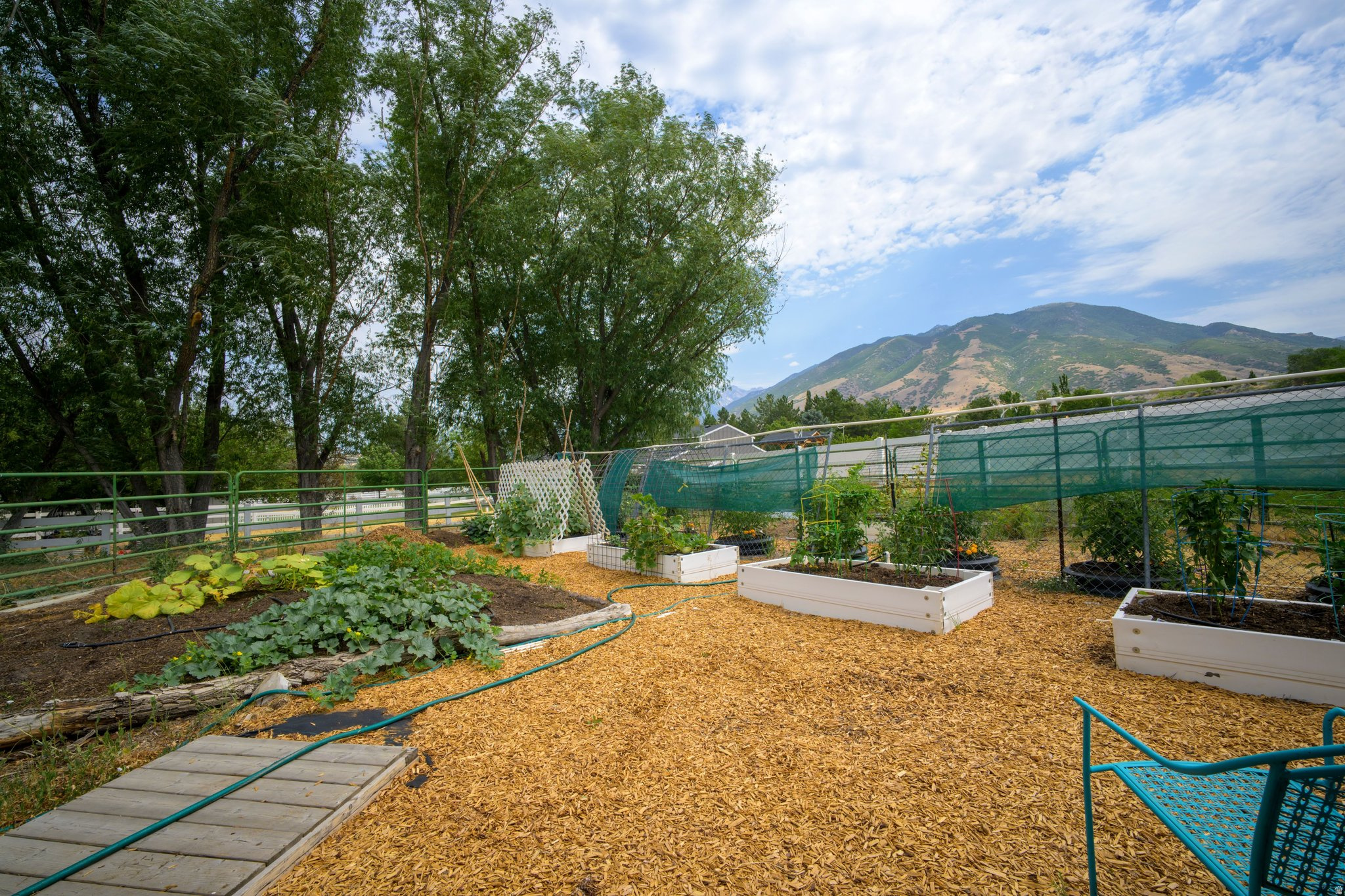 main property photo 94