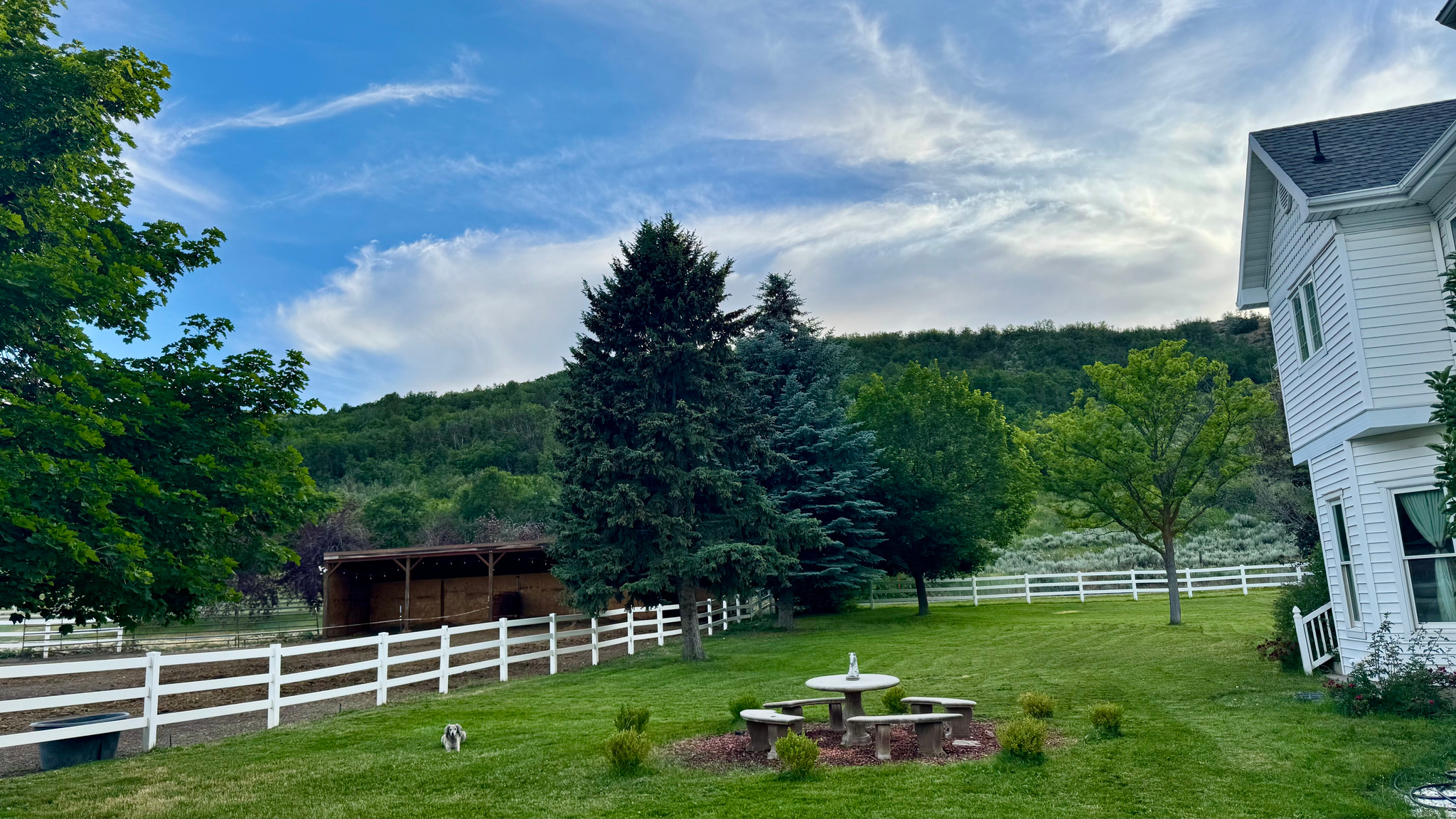 main property photo 9