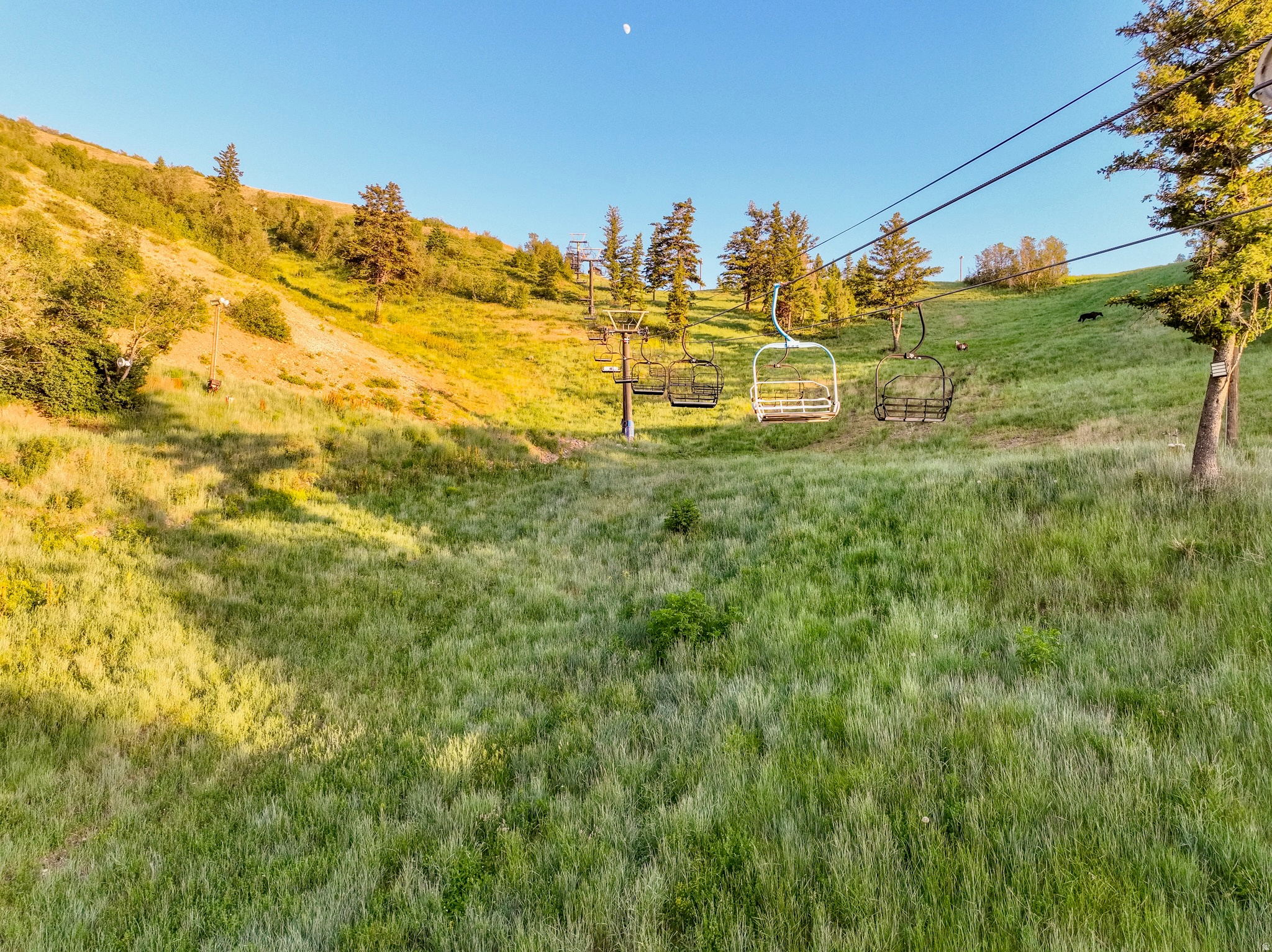 main property photo 34