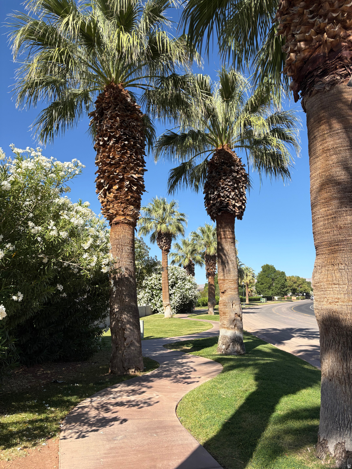 main property photo 21