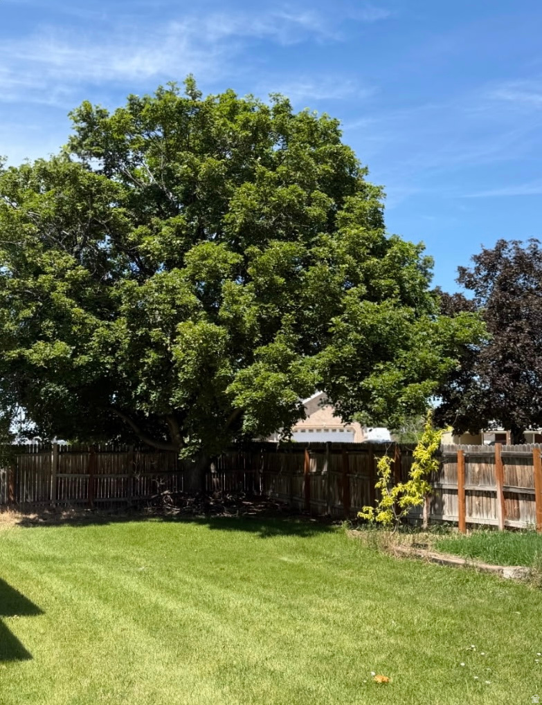 main property photo 61