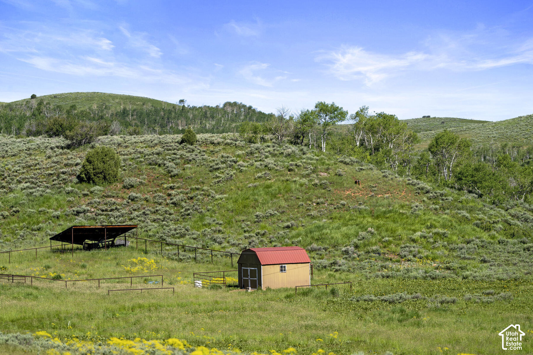 main property photo 71