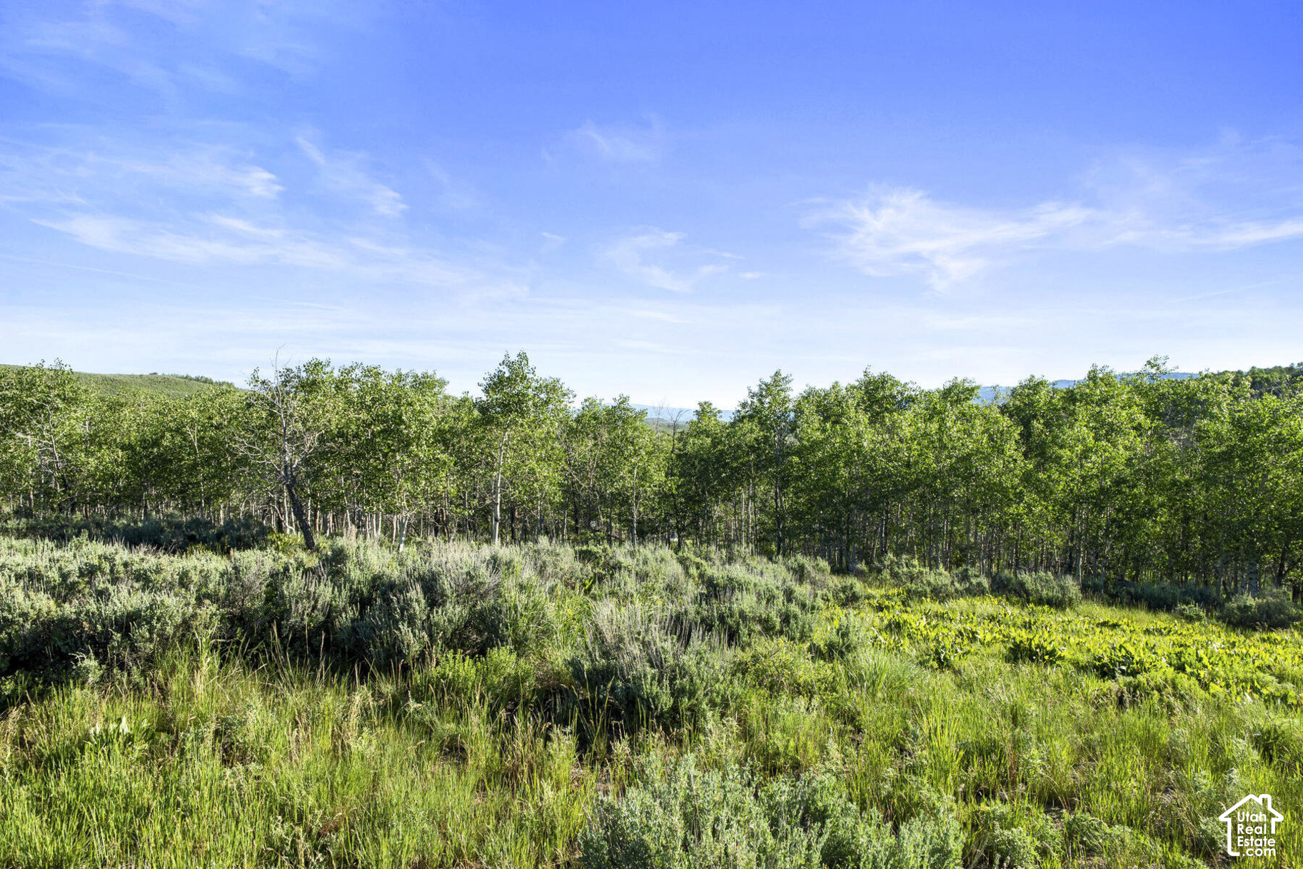 main property photo 87