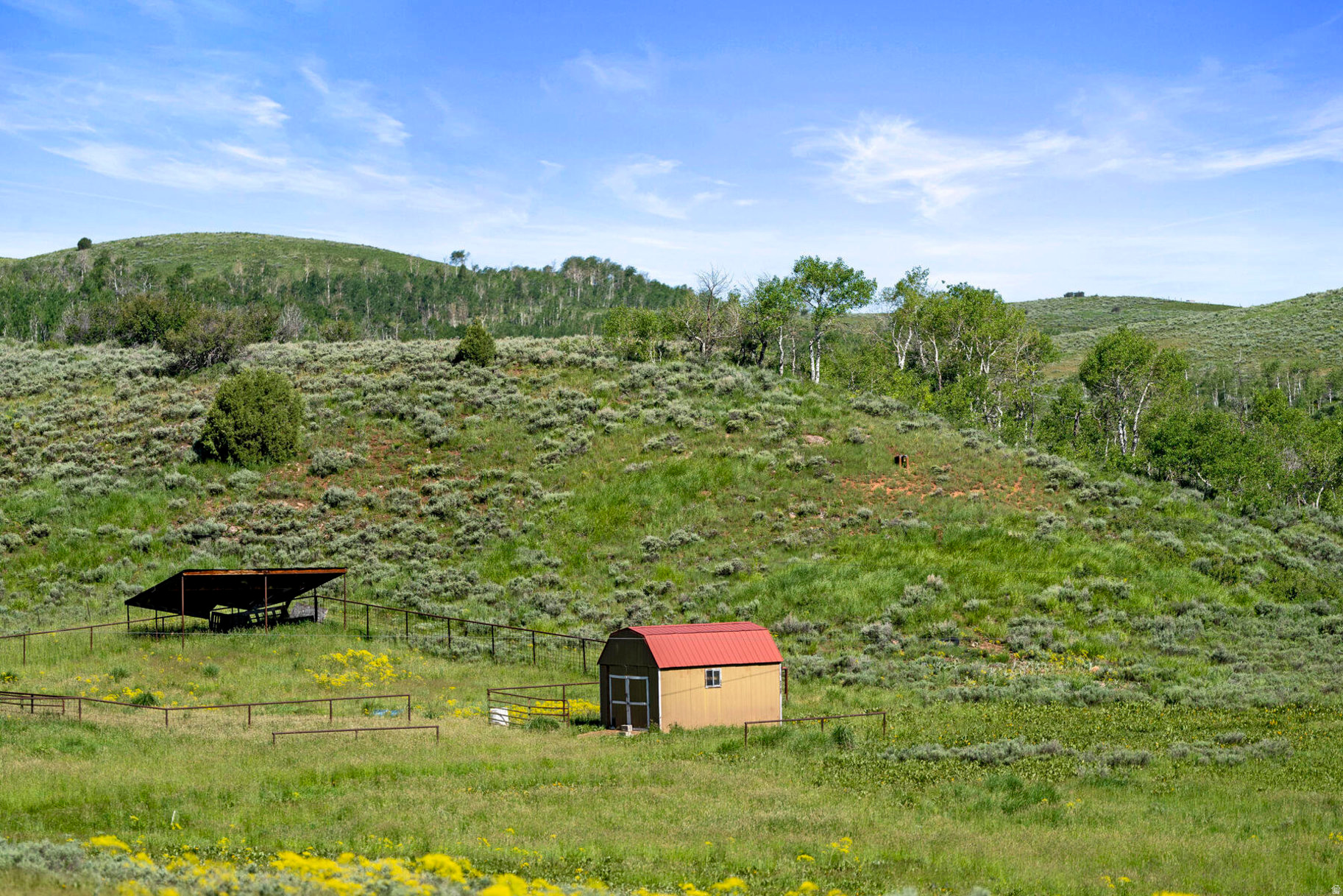 main property photo 71