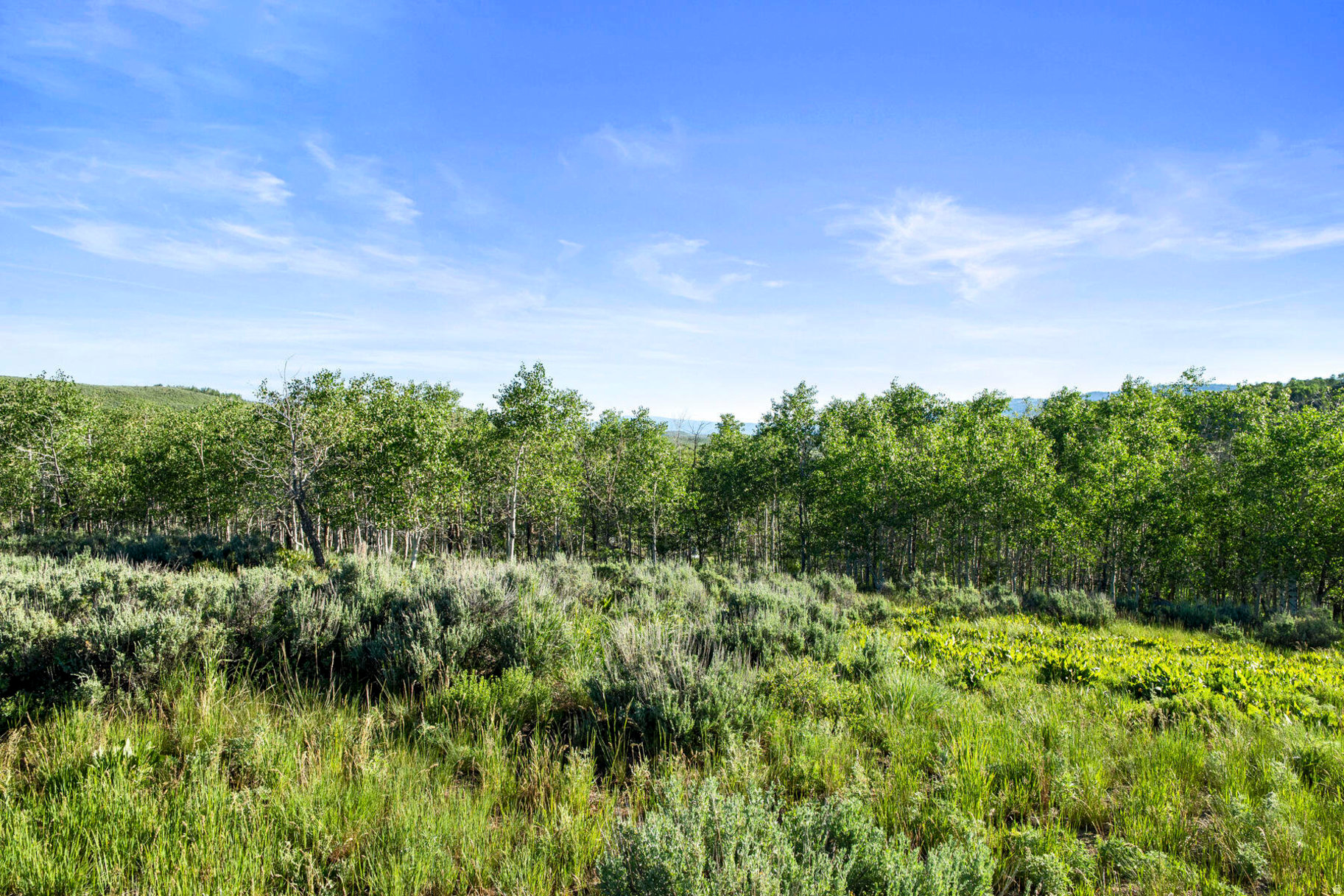 main property photo 87