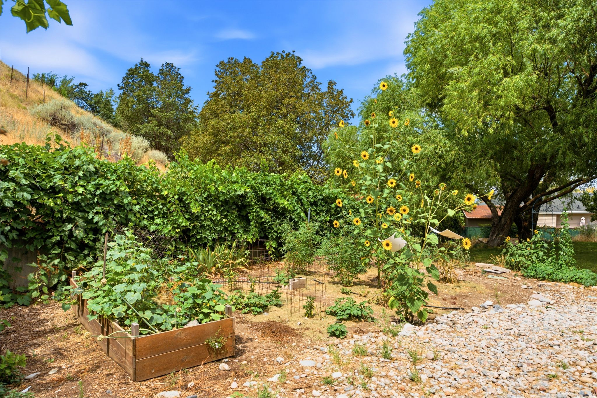 main property photo 62
