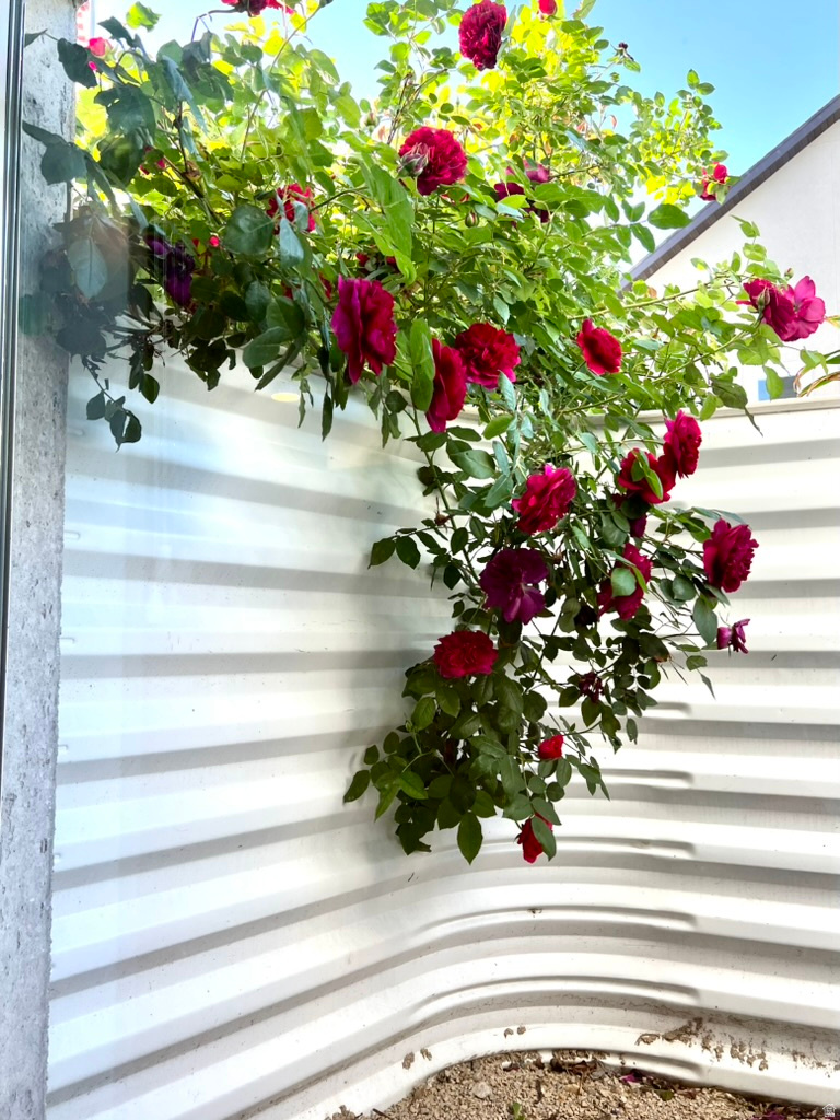 main property photo 76