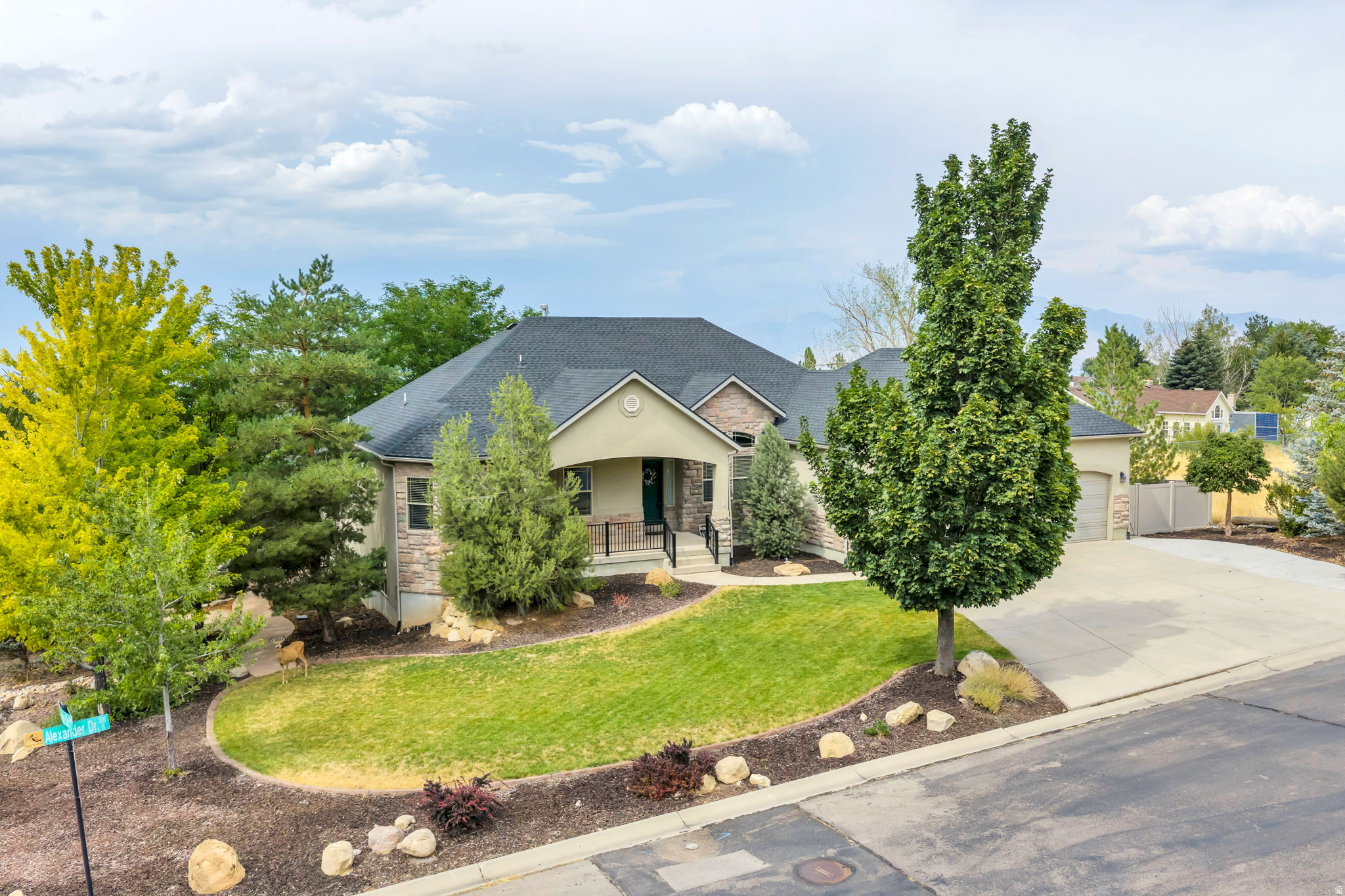 main property photo 10