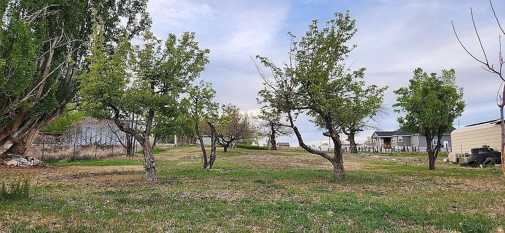 main property photo 35