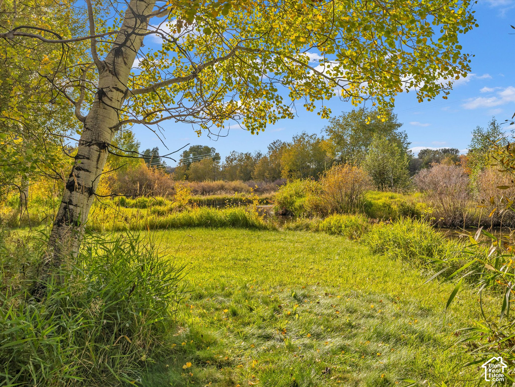 main property photo 25