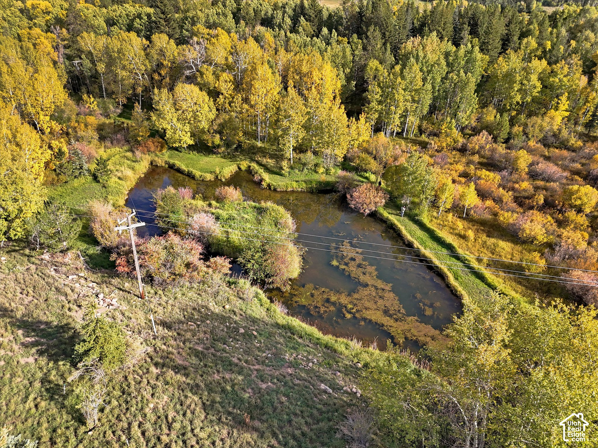 main property photo 27