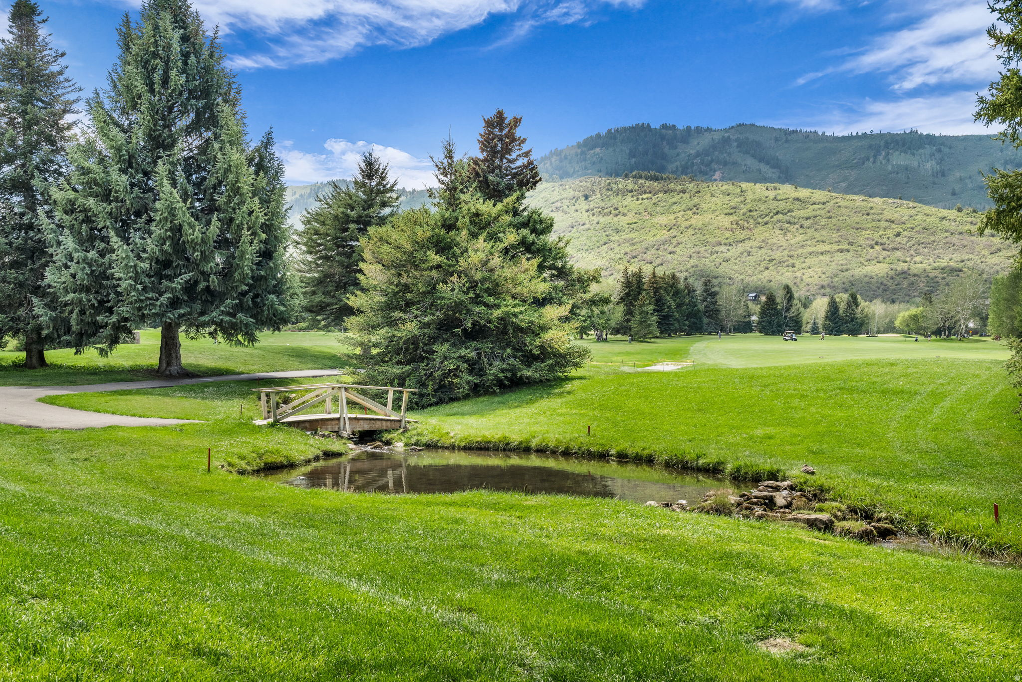 main property photo 29