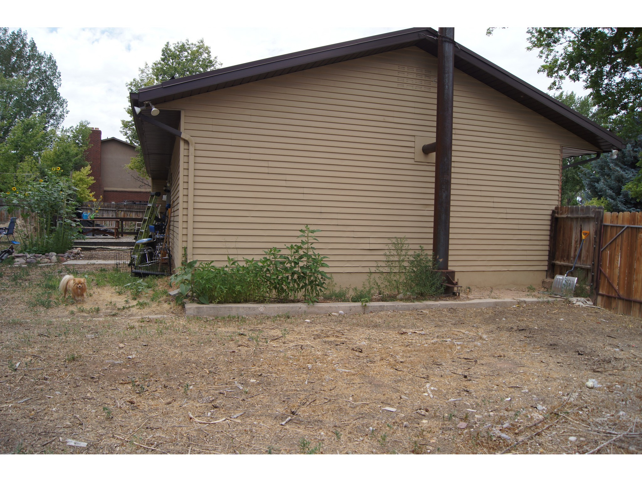 main property photo 61