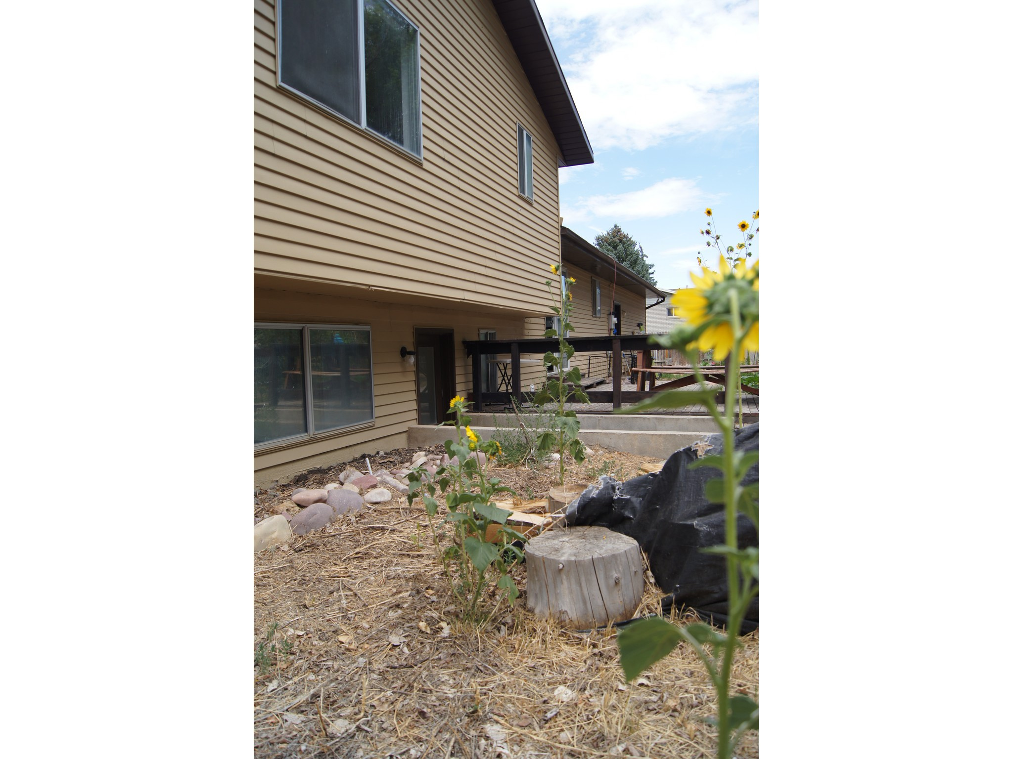 main property photo 64