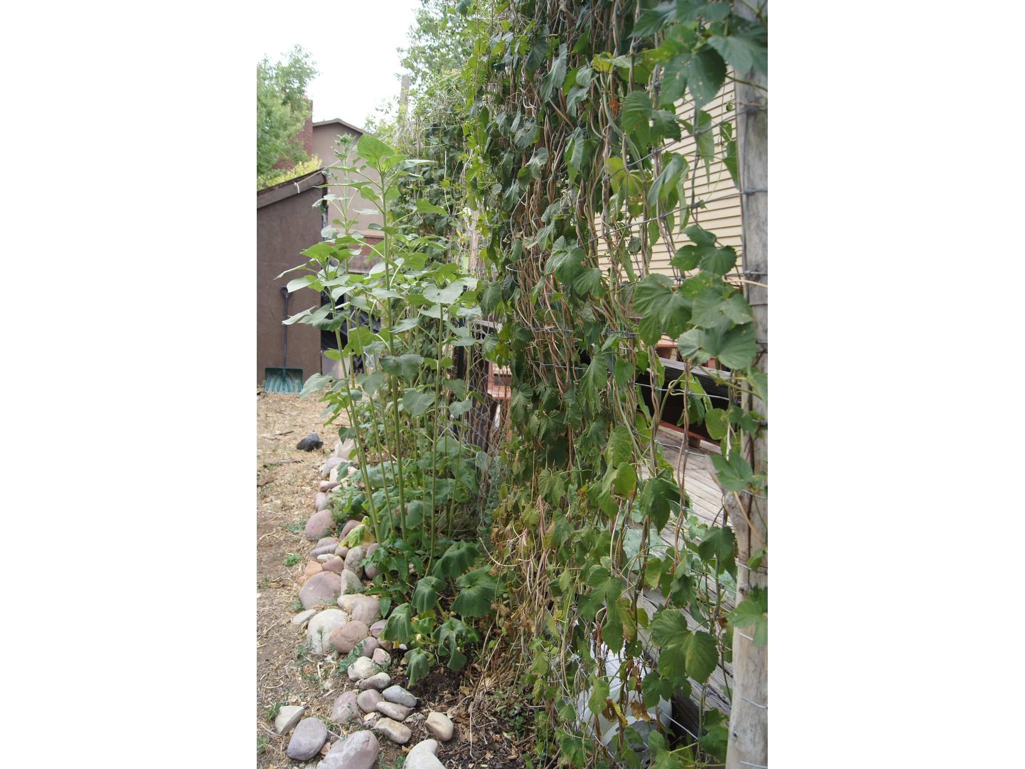 main property photo 66