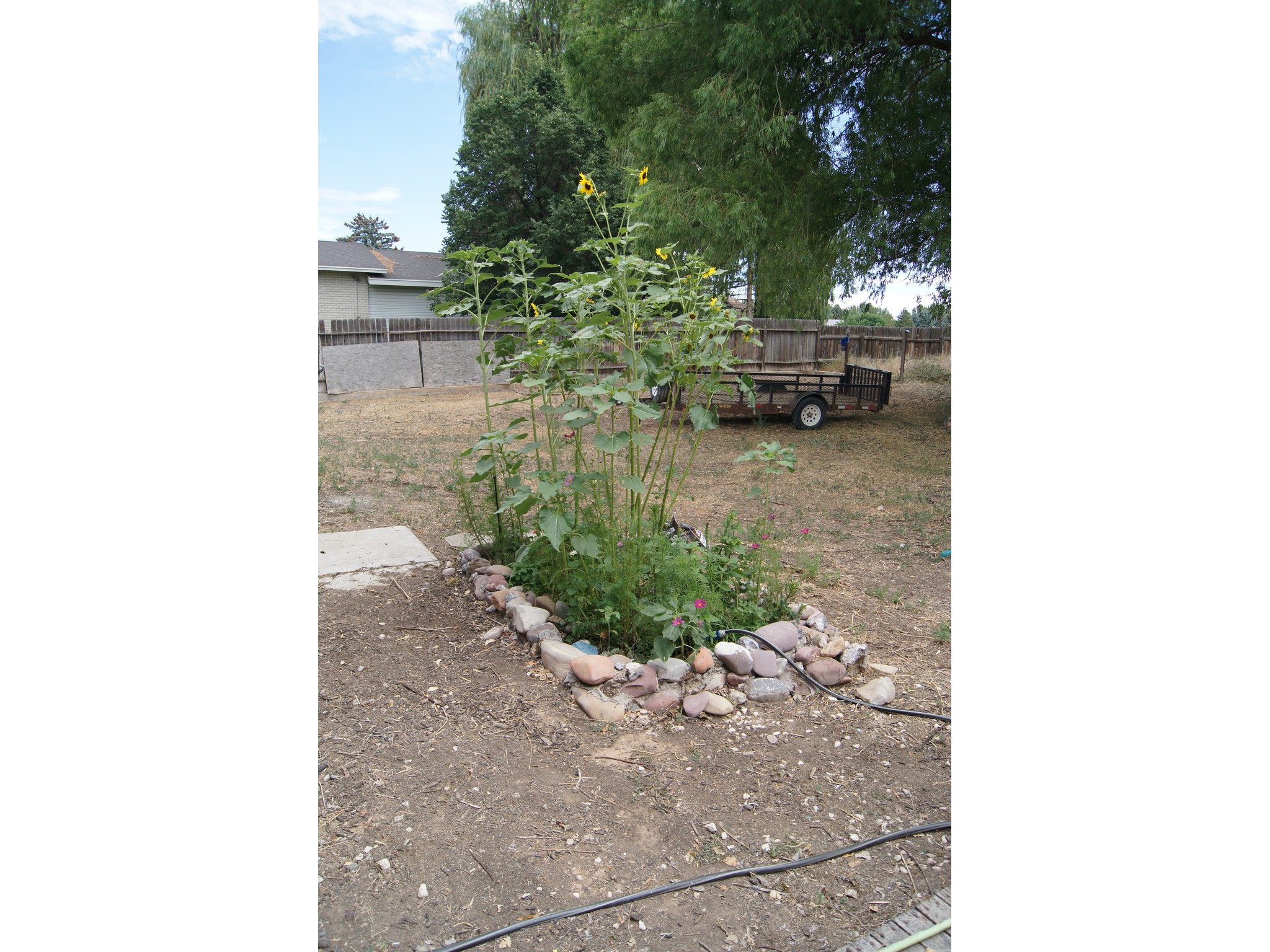 main property photo 67