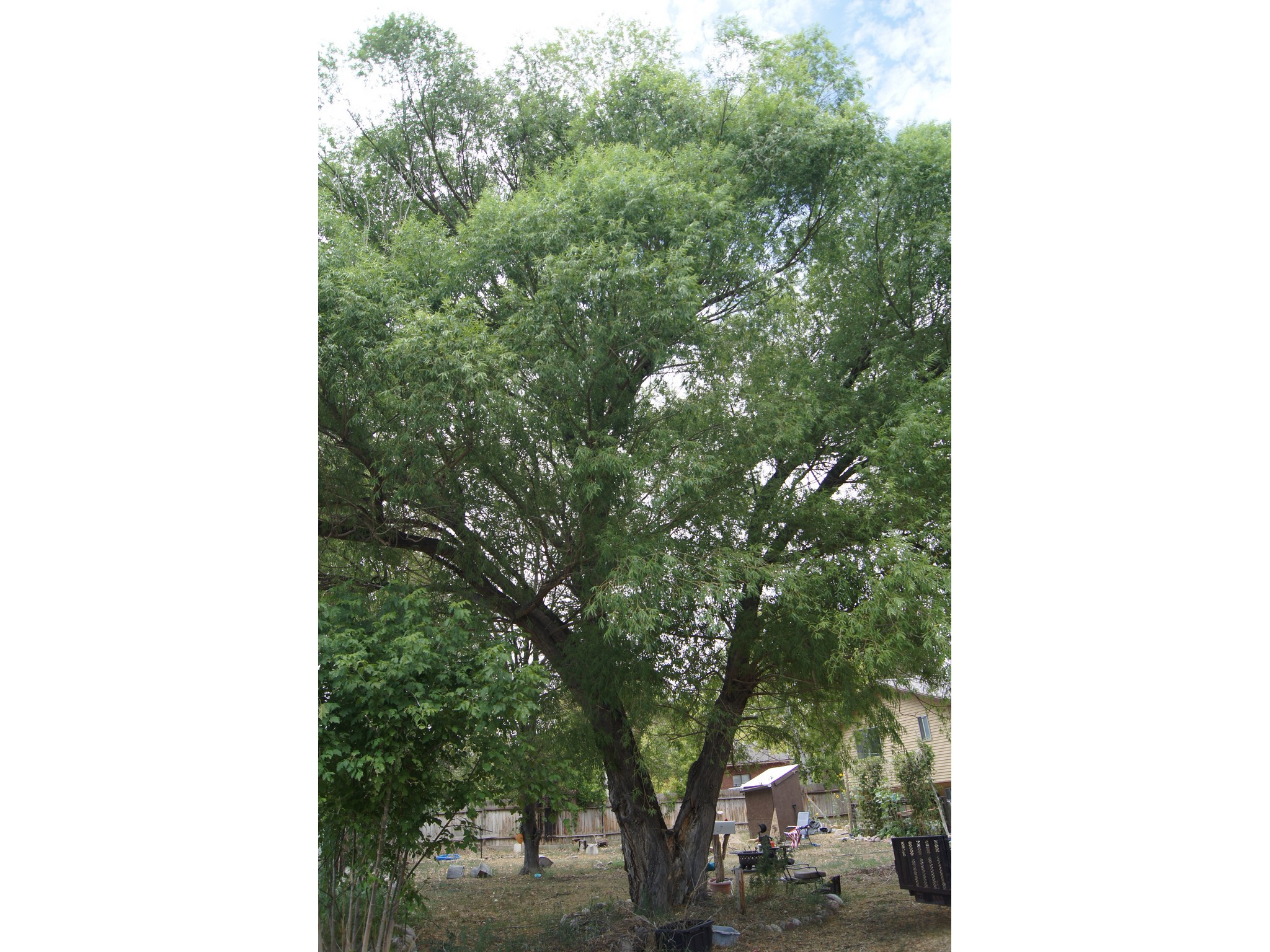 main property photo 73
