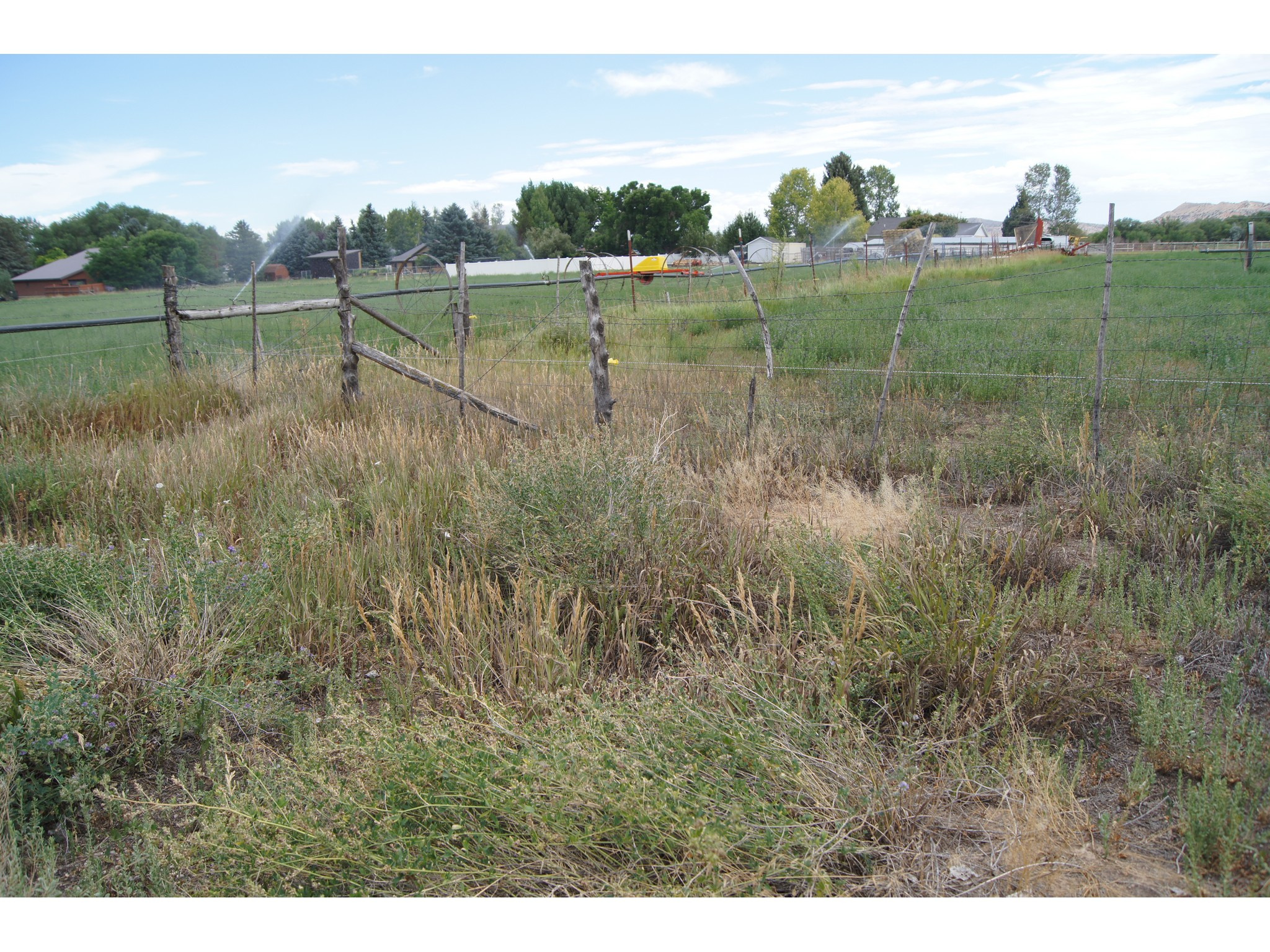 main property photo 77