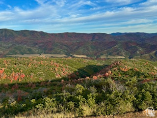 main property photo 117