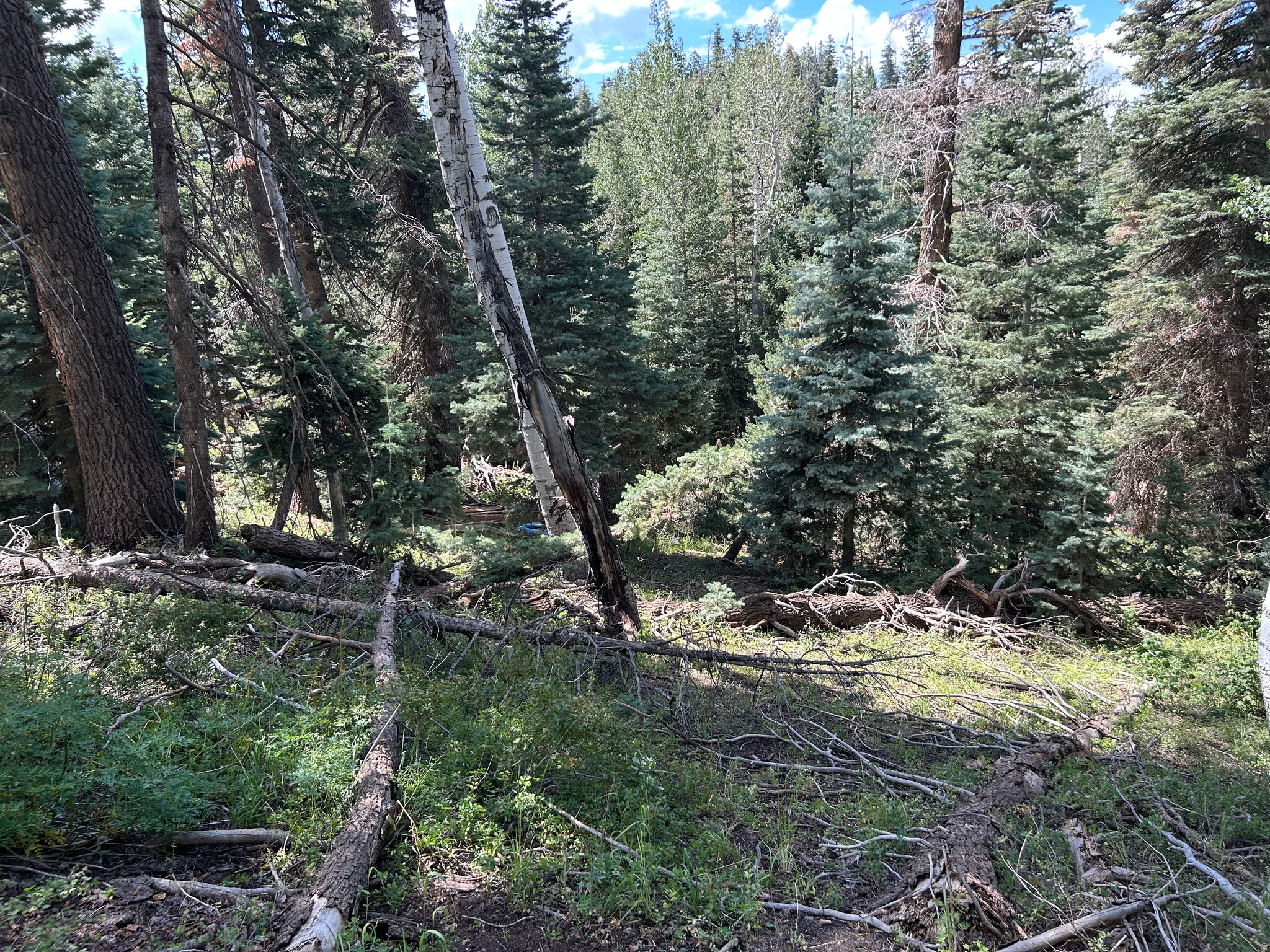 main property photo 11
