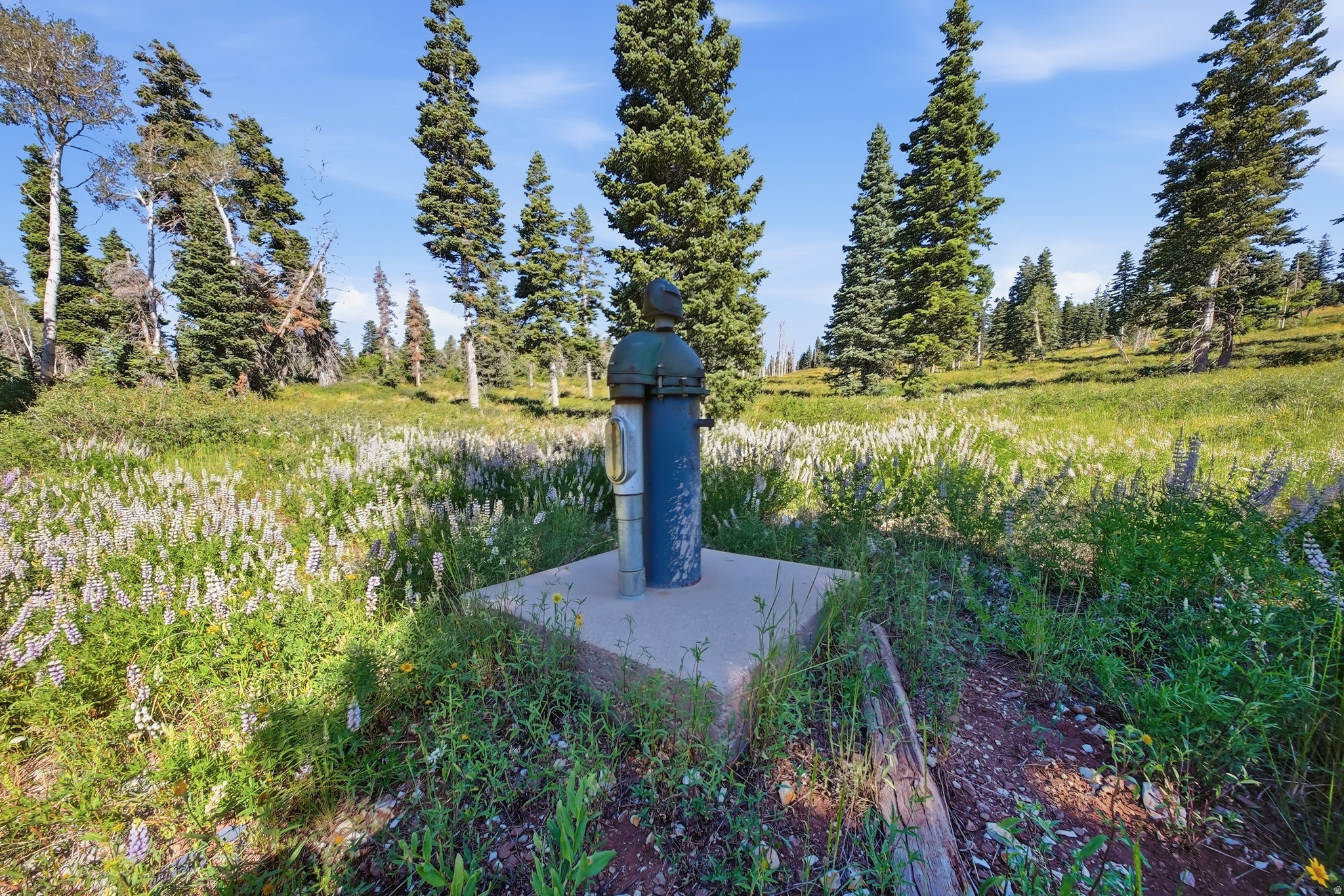 main property photo 30