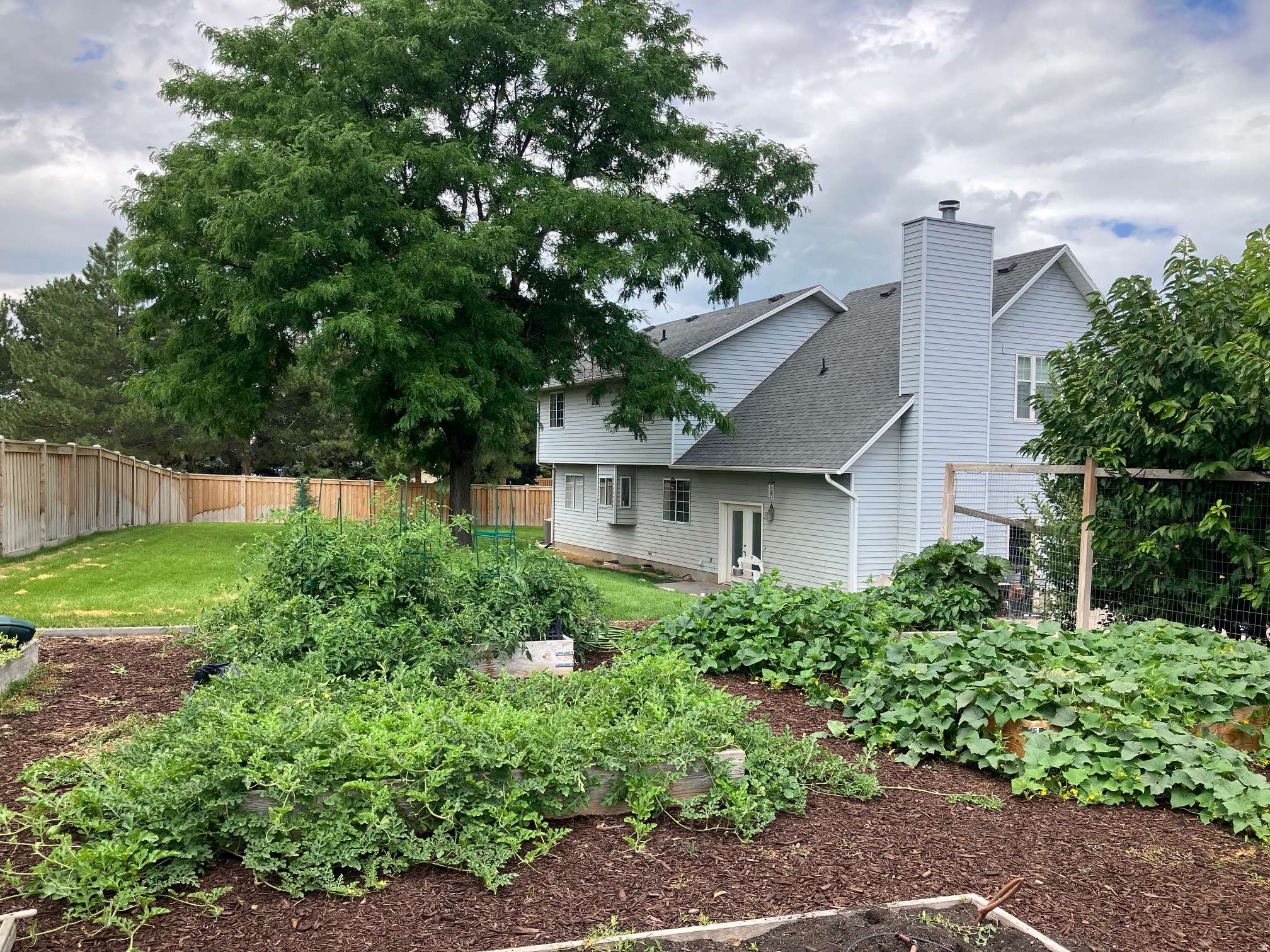 main property photo 52