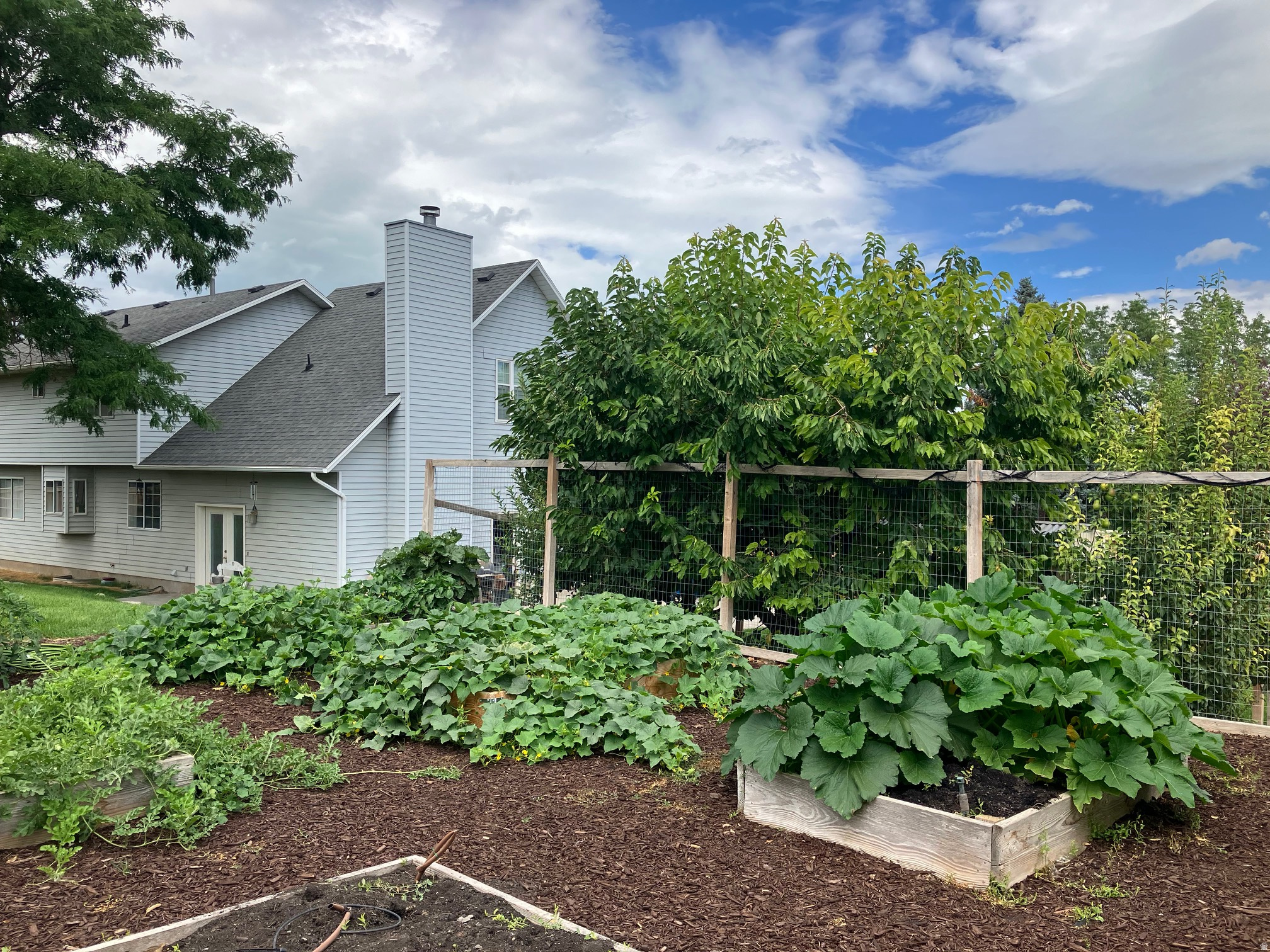 main property photo 53