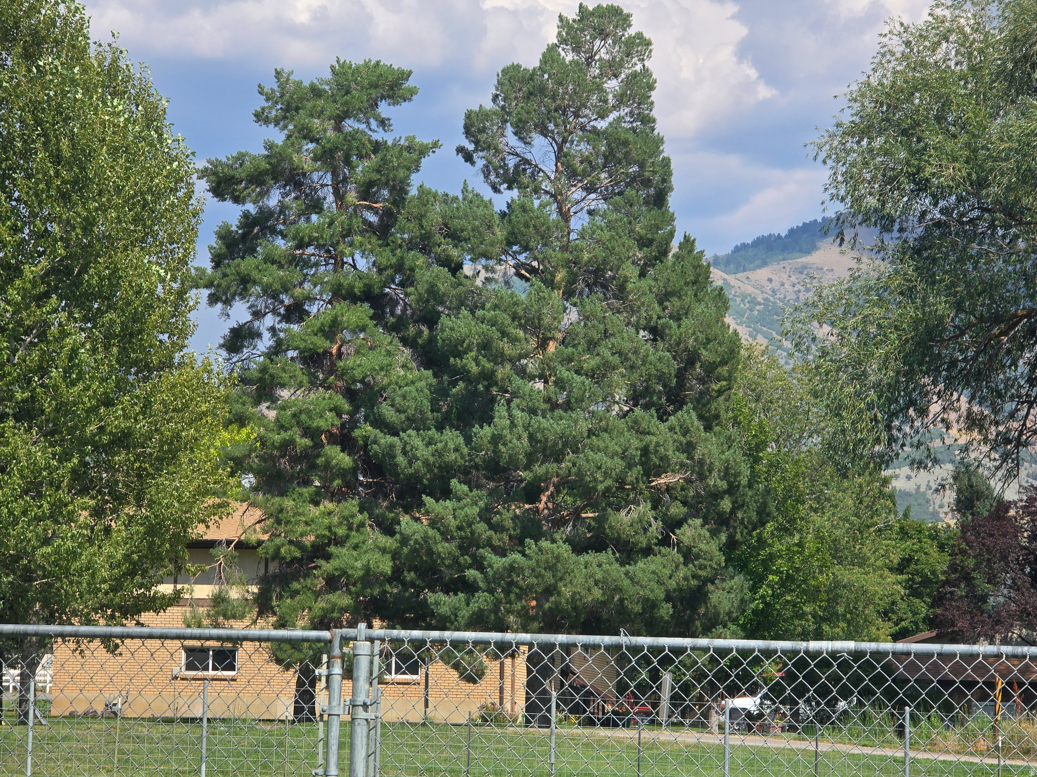 main property photo 38