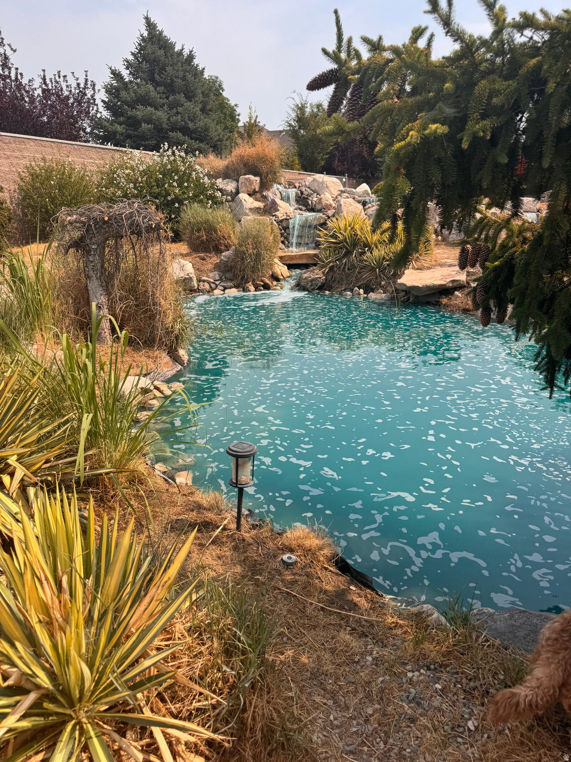 main property photo 65