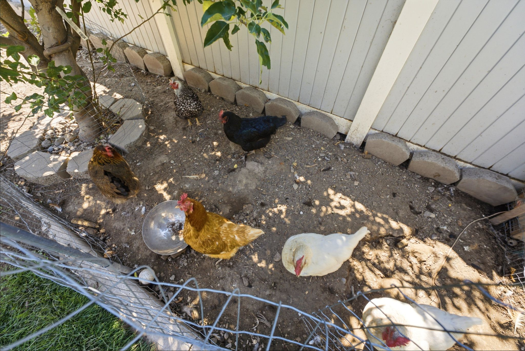 main property photo 56