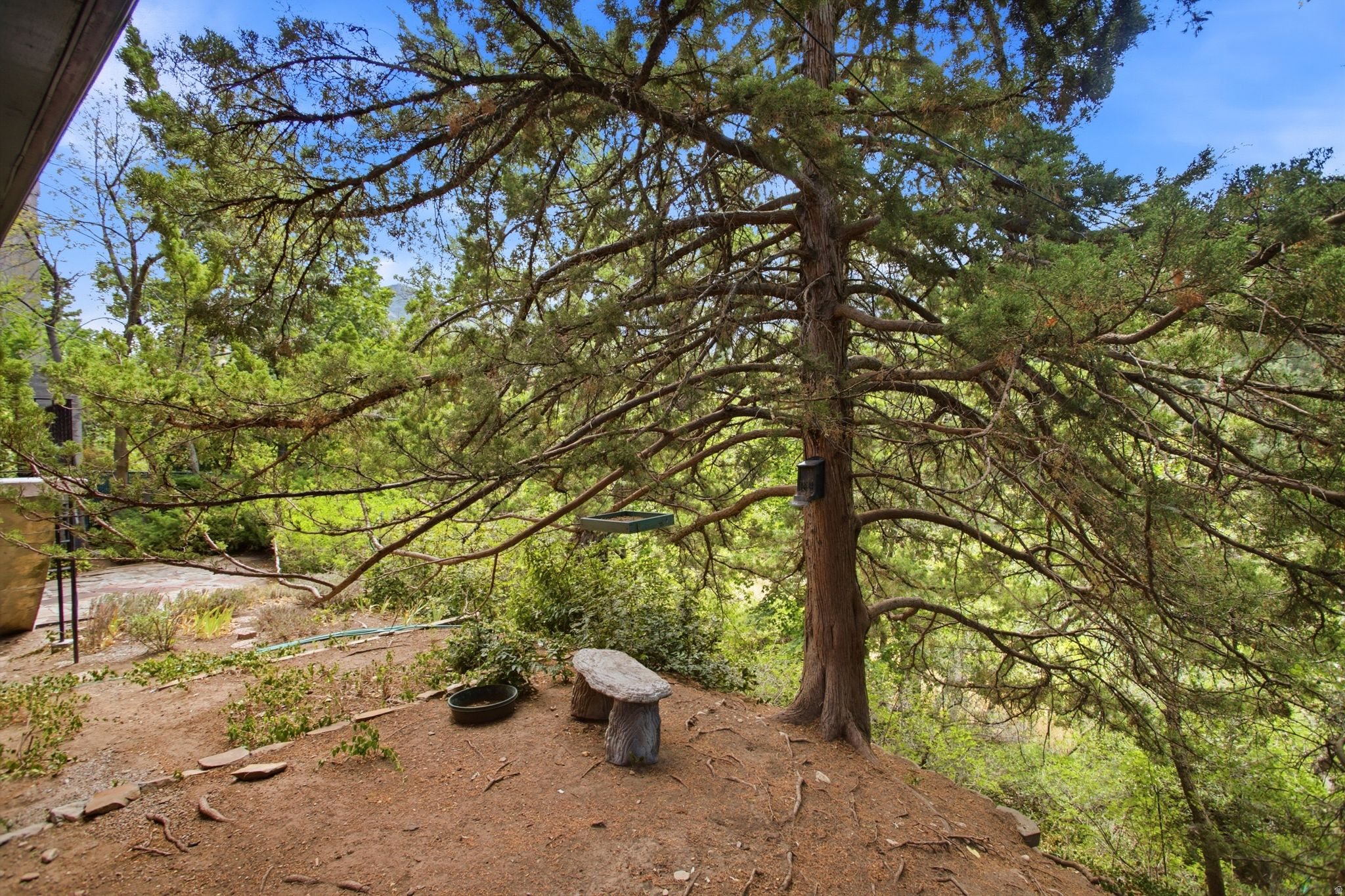 main property photo 32