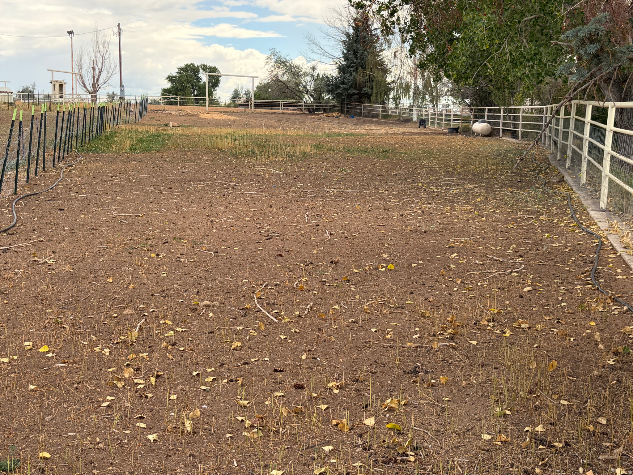 main property photo 67