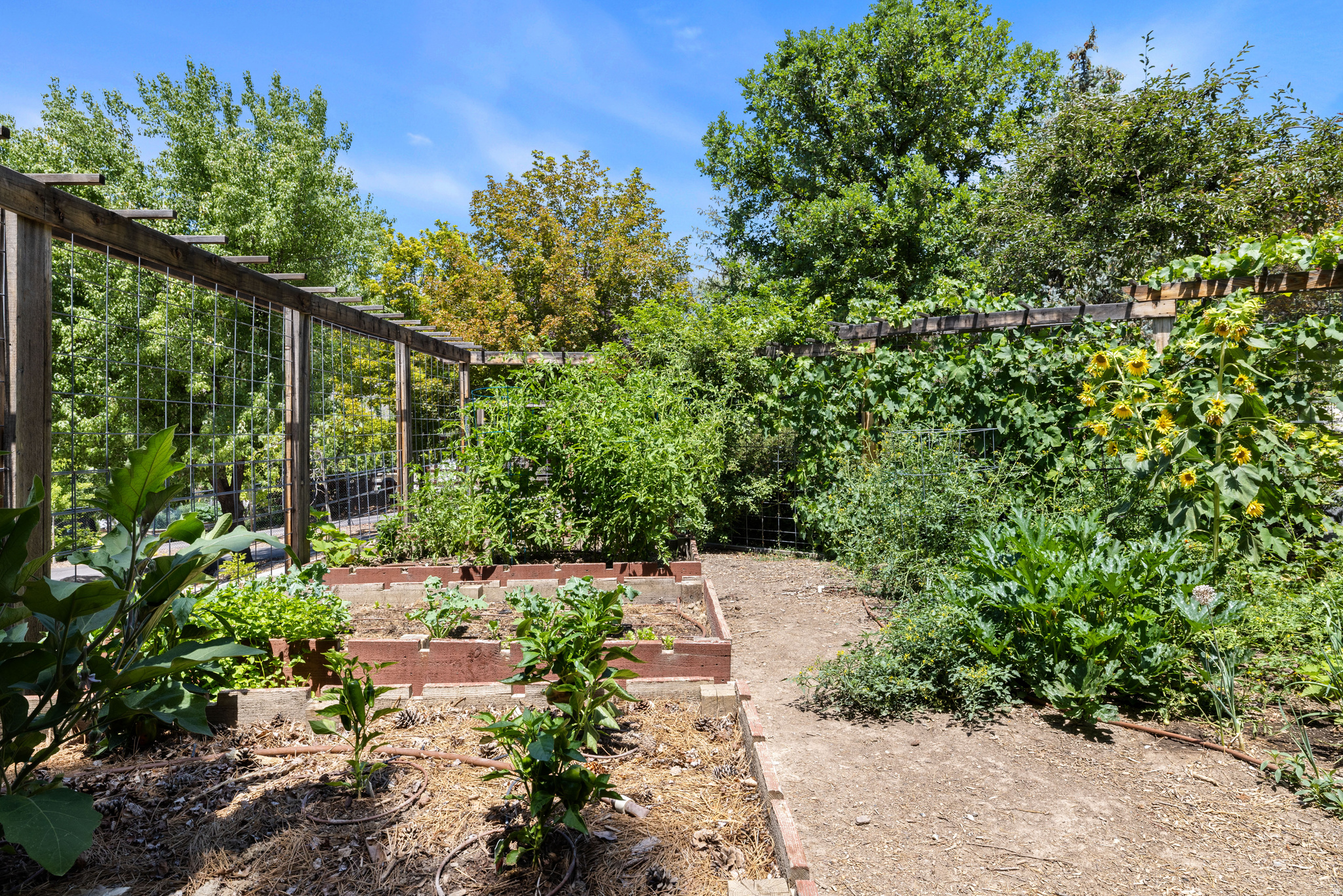 main property photo 49