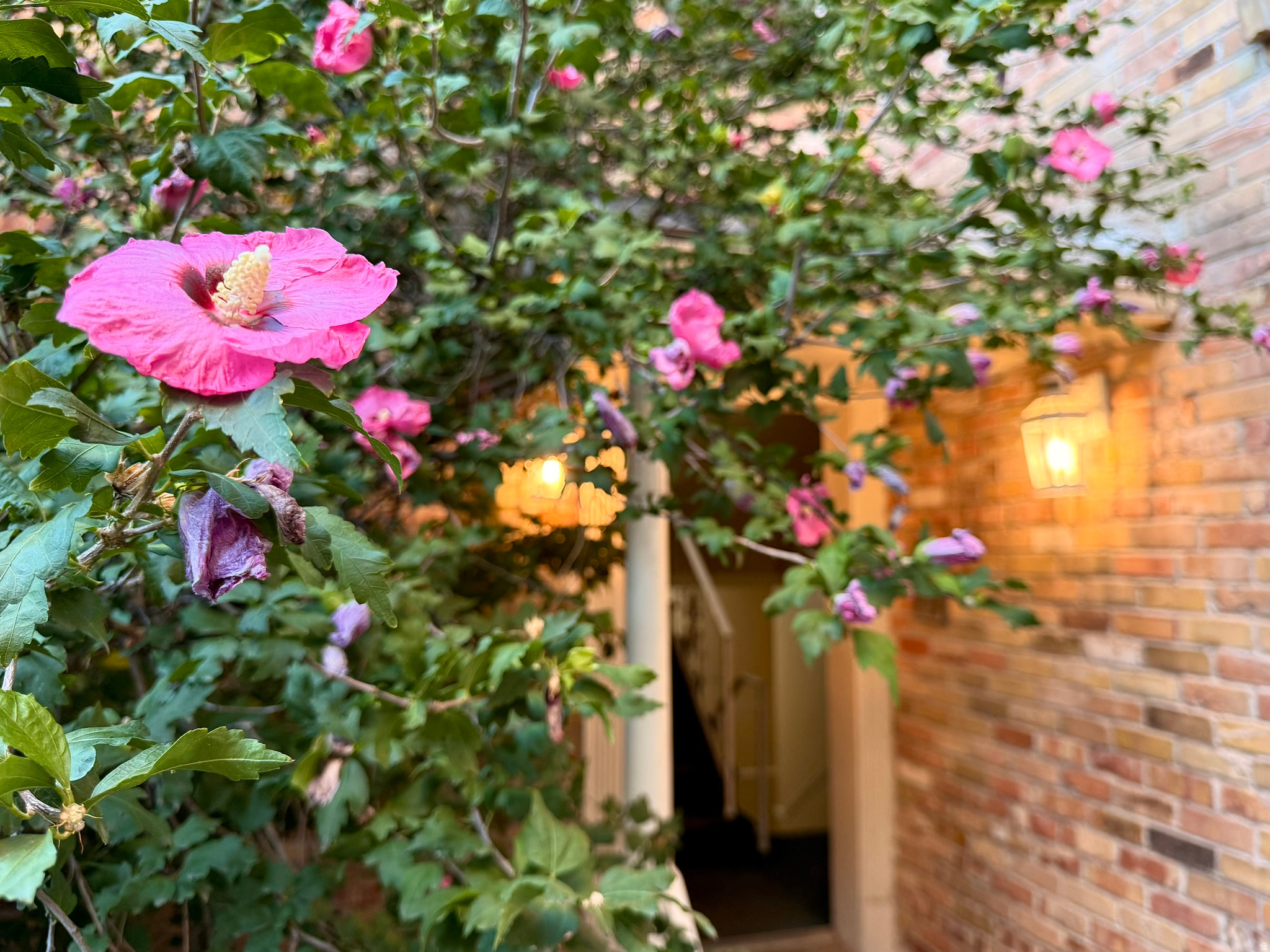 main property photo 18