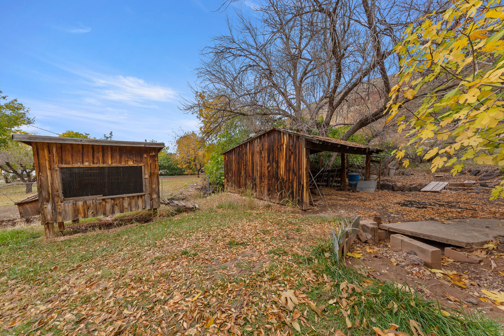 main property photo 13