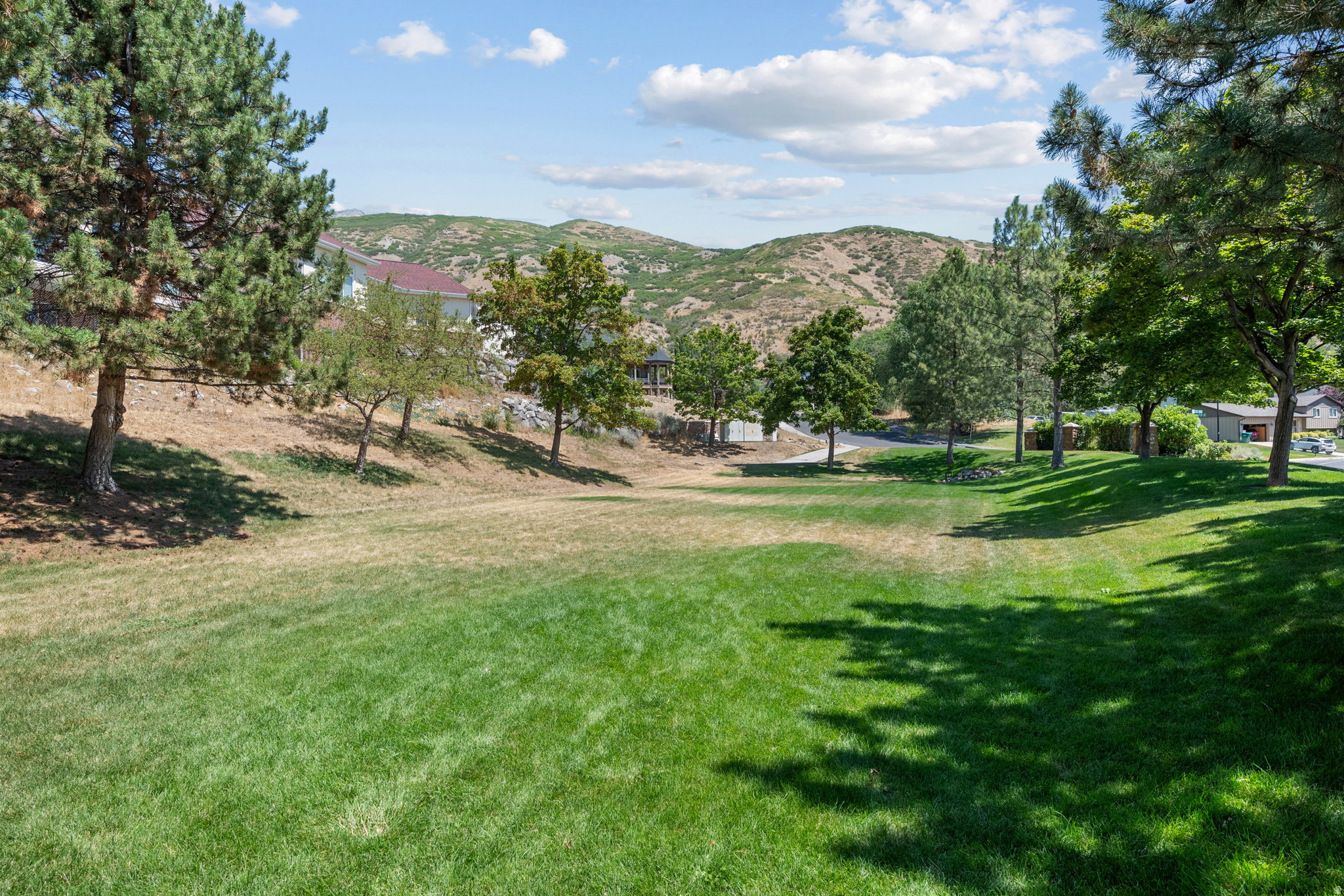 main property photo 53