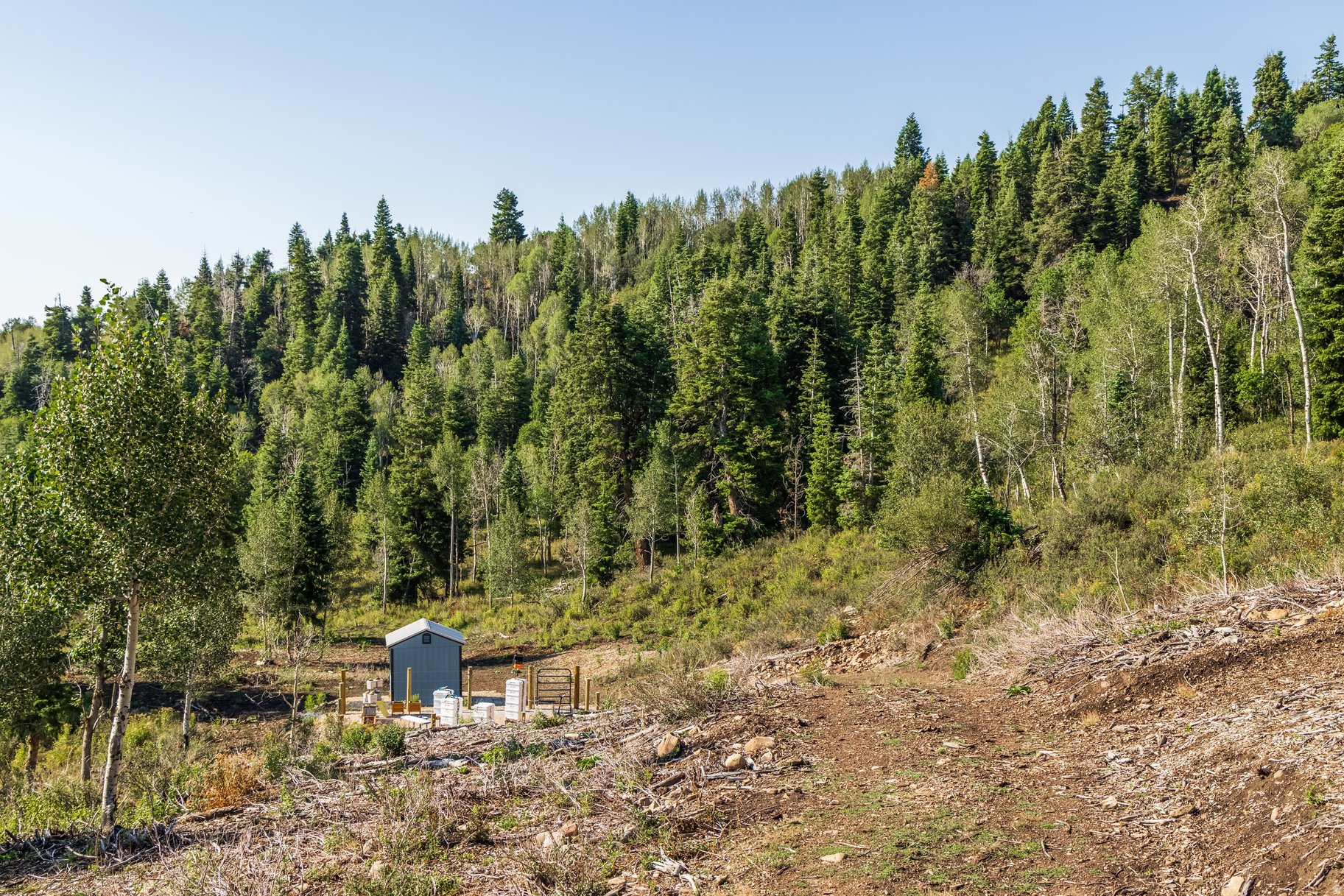 main property photo 10
