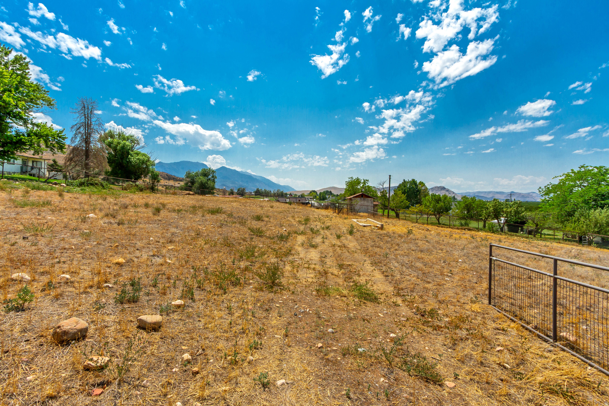 main property photo 53